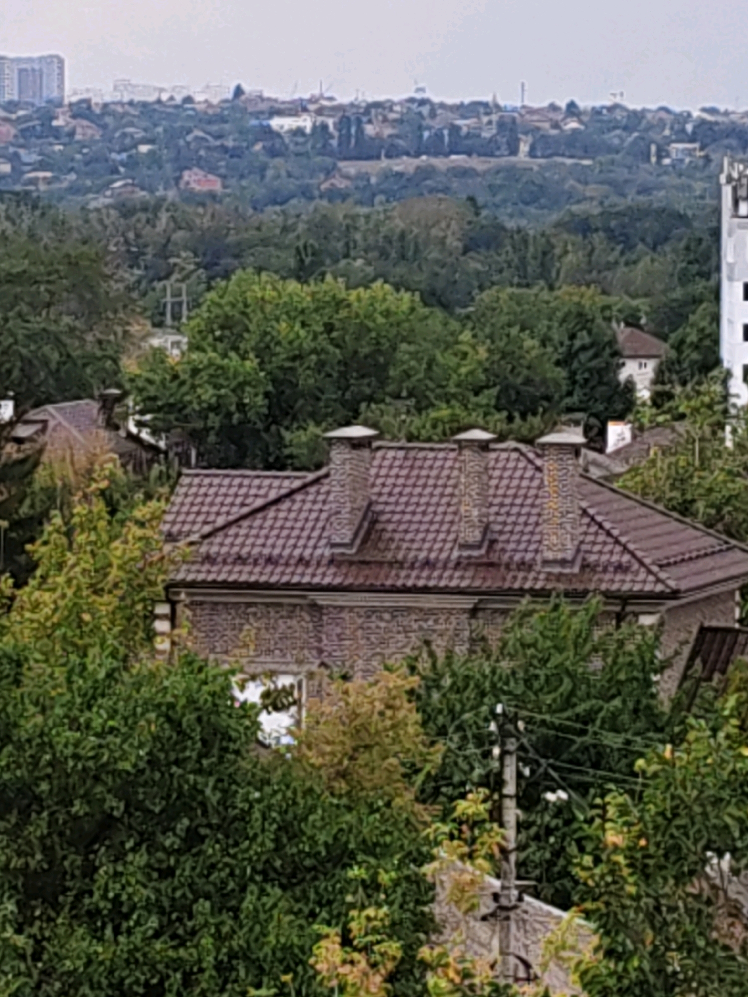 The image shows a view of a residential area, likely a suburb, in Rostov-on-Don, Russia. In the foreground, a house with a tiled roof and prominent chimneys is partially obscured by lush green trees. The house appears to be constructed of stone or brick. Further in the background, more trees and scattered houses are visible, interspersed with some taller buildings on the horizon. The overall impression is of a semi-urban or suburban landscape under an overcast sky. The image does not contain any people or discernible activity.