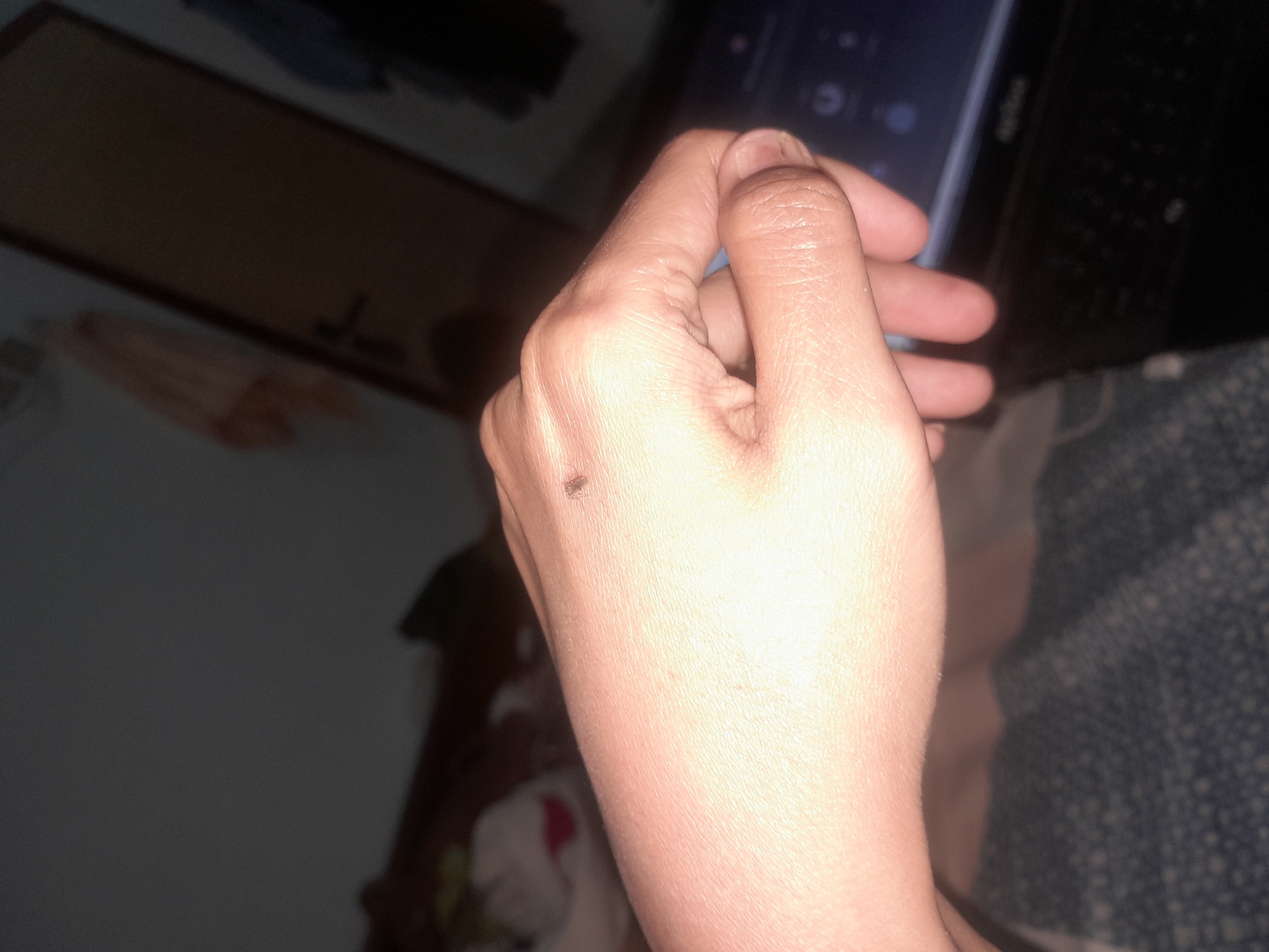 A close-up shot focuses on the back of a person's hand, illuminated by a bright light. A small, dark mosquito is visible on the skin, positioned near the knuckles. The hand is slightly curled, with fingers partially bent. In the background, a dark, out-of-focus laptop is visible. To the left, the background is very dark and blurry, suggesting an indoor, dimly lit environment. The image does not provide any information that can be used to determine its location in the city of Keboharan, Indonesia.