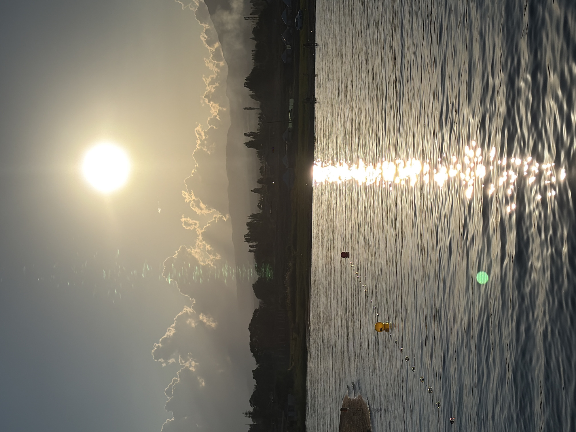 This media file depicts a serene natural scene with a body of water, a shoreline, and a bright sky. The sun is prominently featured in the upper left quadrant, casting a warm, golden light. Its rays create a glittering reflection on the water's surface, which is textured with gentle ripples.
Along the shoreline, a line of trees forms a dark silhouette against the sky. In the distance, faint outlines of mountains are visible, shrouded in a light haze. Scattered clouds, edged with the sun's glow, add depth to the sky.
In the water, a series of buoys are strung together in a line, demarcating a section of the water. Two larger buoys, one red and one yellow, are particularly noticeable. A faint green circular light anomaly is also present in the water, possibly a lens flare or reflection. At the bottom edge of the image, a wooden structure, possibly a pier or dock, is partially visible.
The overall impression is one of tranquility and natural beauty. The time of day appears to be either sunrise or sunset, given the low angle of the sun and the warm, diffused light. The weather seems clear, with the sun's intensity suggesting a fair day. The combination of the sun's glow, the calm water, and the distant landscape creates a peaceful and inviting atmosphere. No text is visible in the image.