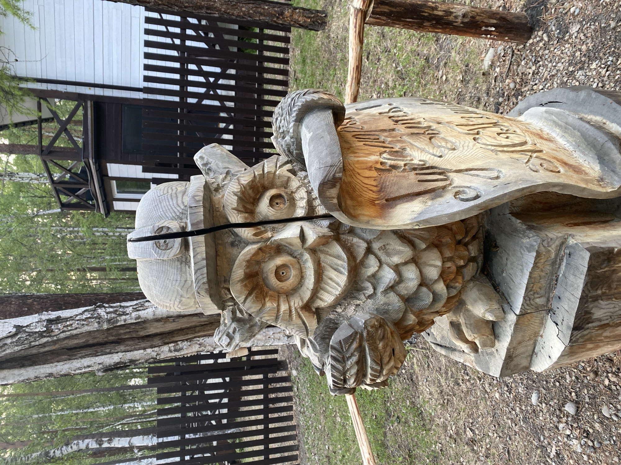 This is a medium-shot, eye-level, outdoor photograph of a carved wooden owl statue situated in Tal'tsy, Russia. The statue depicts an owl wearing a helmet and holding a scroll with carved Cyrillic text. The owl is carved from light-colored wood and has intricate details such as feathers and a textured scroll. The statue is placed on a wooden base, which appears to be made from logs. In the background, there is a dark wooden fence, a white building with dark trim and a balcony, and a forest with birch and pine trees. The ground is covered with grass, dry leaves, and pebbles. A thin wooden rail extends horizontally across the frame in front of the owl statue. The lighting suggests it is daytime, with diffused light filtering through the trees.