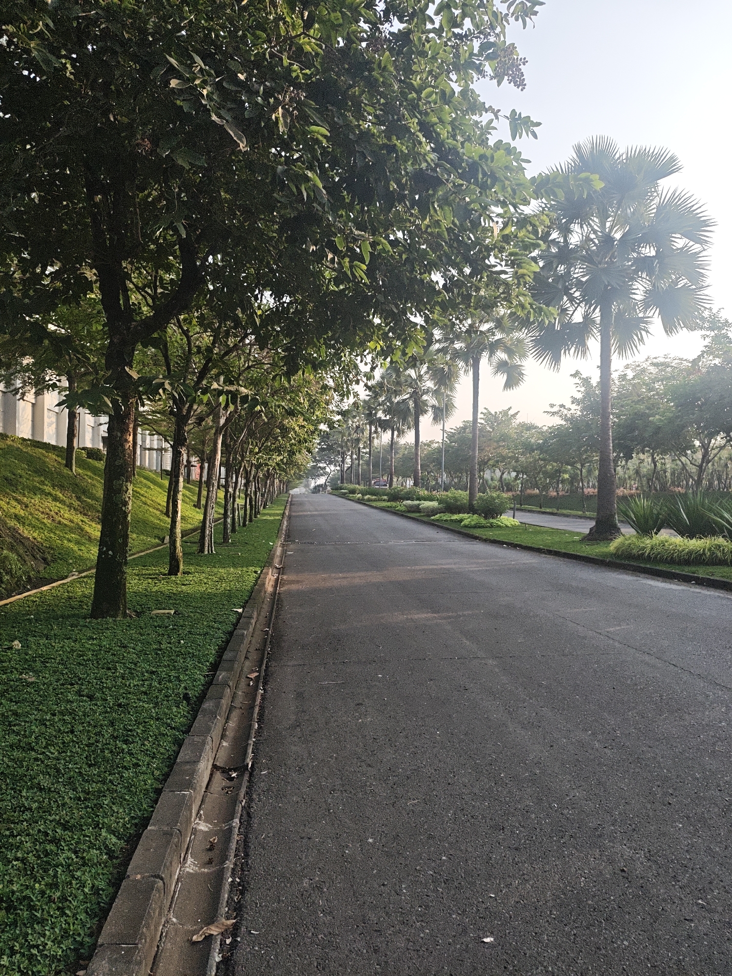 The image depicts a paved road lined with lush green grass and trees, with palm trees visible further in the distance. The scene appears to be a park or a residential area with well-maintained landscaping. The road curves gently to the right, disappearing into the distance. The sky is clear and bright, suggesting a daytime setting. There are no people or animals visible in the image. The overall impression is one of tranquility and natural beauty within an urban or suburban environment. The location is identified as Bae, Indonesia.