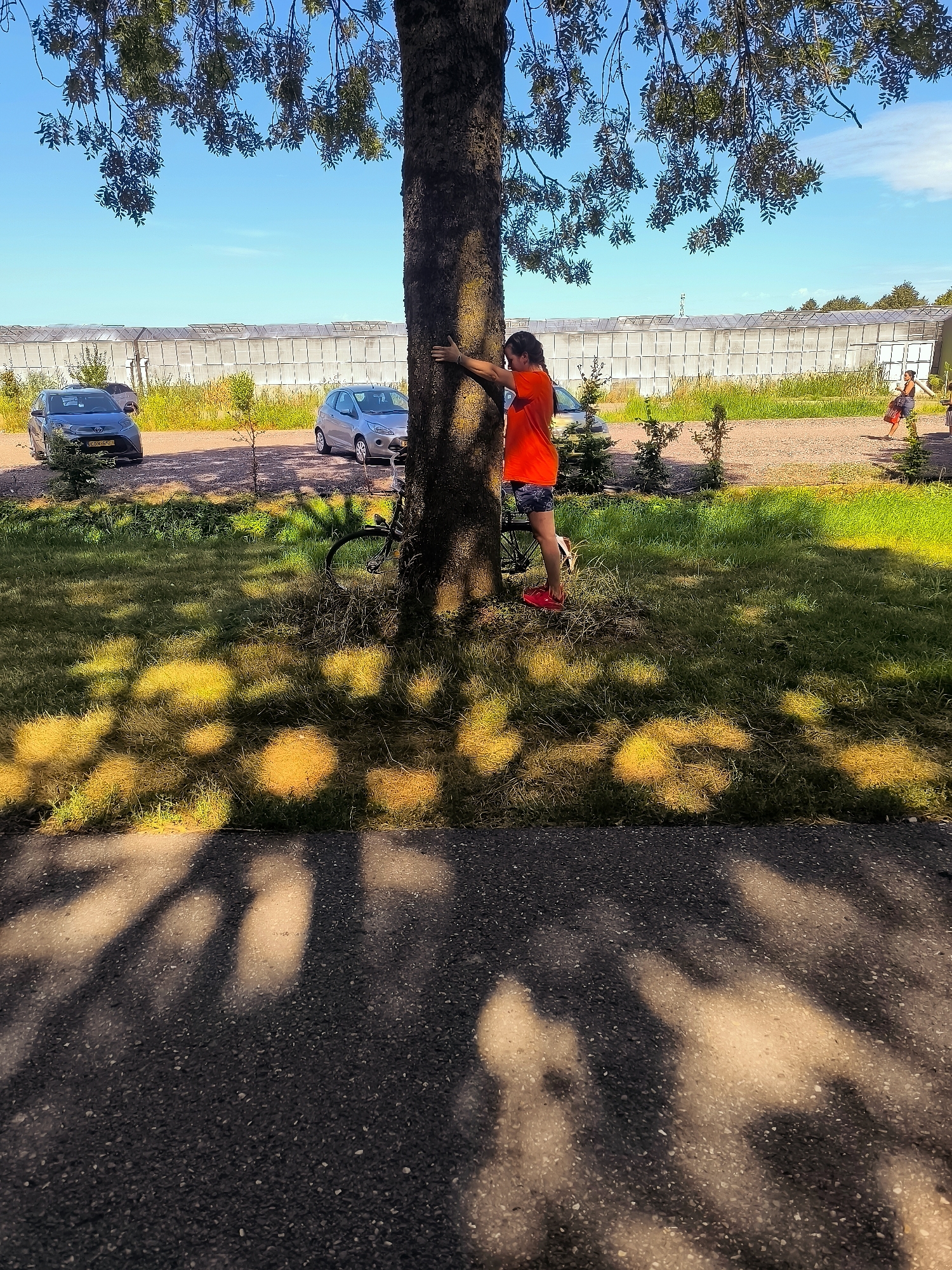 A young person in a red shirt and patterned shorts is hugging a large tree, with a bicycle leaning against it. They are standing on a grassy area next to a paved path. In the background, there are two cars parked, and a long building with a transparent roof, typical of greenhouses. The scene appears to be set in the early afternoon on a sunny day, with dappled sunlight casting shadows on the grass and path. The location is identified as Almere, Netherlands.