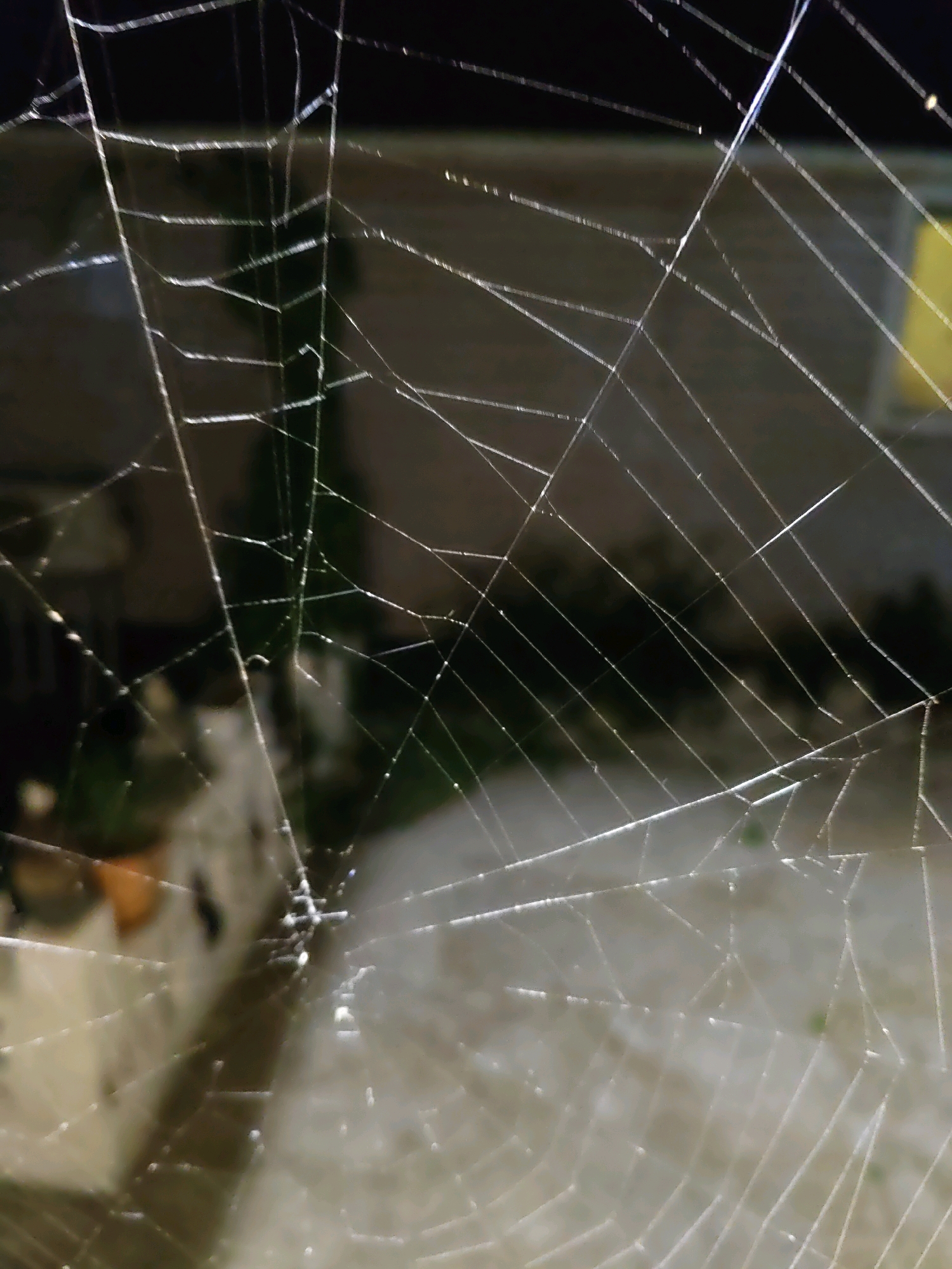 The image shows a close-up of a spiderweb illuminated by artificial light, likely from a streetlamp, creating a silvery sheen on the fine threads. The web is complex and appears to be in good condition, with many radiating spokes and spiral threads. In the blurred background, a building with a light-colored wall is visible, suggesting an outdoor urban setting. The overall impression is one of detail and texture captured in a nighttime environment. This image was taken in Rostov-on-Don, Russia.