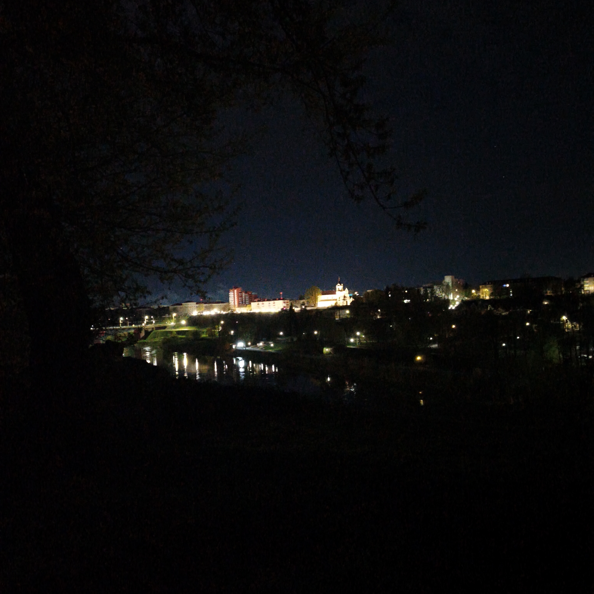 A nighttime scene in Hrodna, Belarus, captures a cityscape across a body of water. The foreground is dominated by dark foliage, likely a tree and undergrowth. Across the water, buildings are illuminated, including a building with a spire. Lights from street lamps and buildings reflect in the water. The sky is dark.