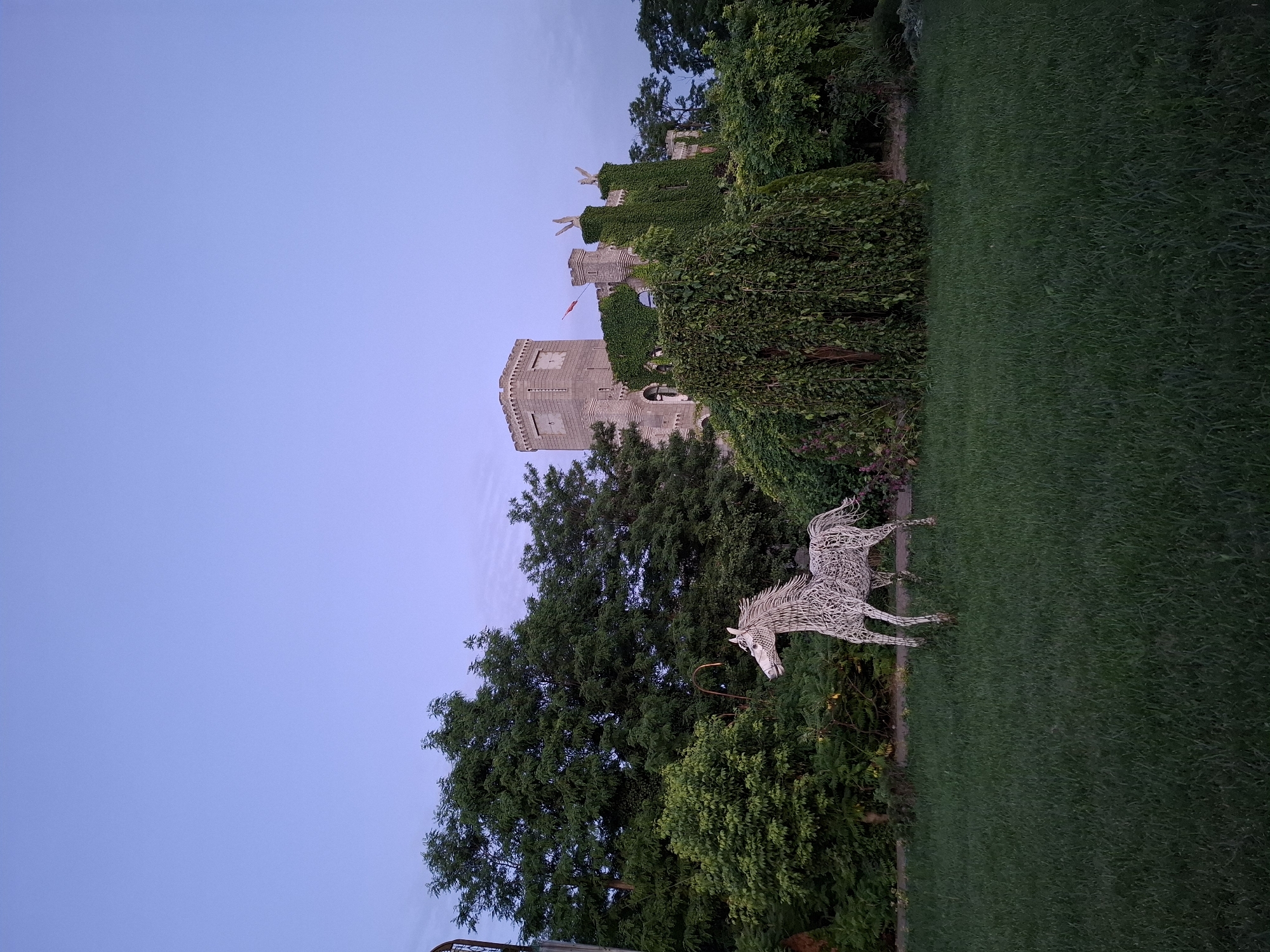 The image shows a large, ornate castle structure partially obscured by lush green foliage. The castle appears to be made of stone and has a classic, historical design with turrets and battlements. Some sections of the castle are covered in ivy, adding to its aged appearance. Two angular statues are visible atop the castle. A small red flag is also present on one of the turrets.
In the foreground, a wire sculpture of a horse stands on a green lawn. The horse sculpture is detailed and appears to be in motion, with its mane and tail flowing. It is positioned next to a border of trees and bushes. The grass in the foreground is well-maintained.
The sky is a soft, pale blue, suggesting it might be early morning or late evening. The lighting is dim, hinting at twilight. The overall scene evokes a sense of peace and perhaps a touch of whimsy due to the horse sculpture. The location appears to be a garden or park setting, possibly associated with the castle. No people are visible in the image. There is no visible text.