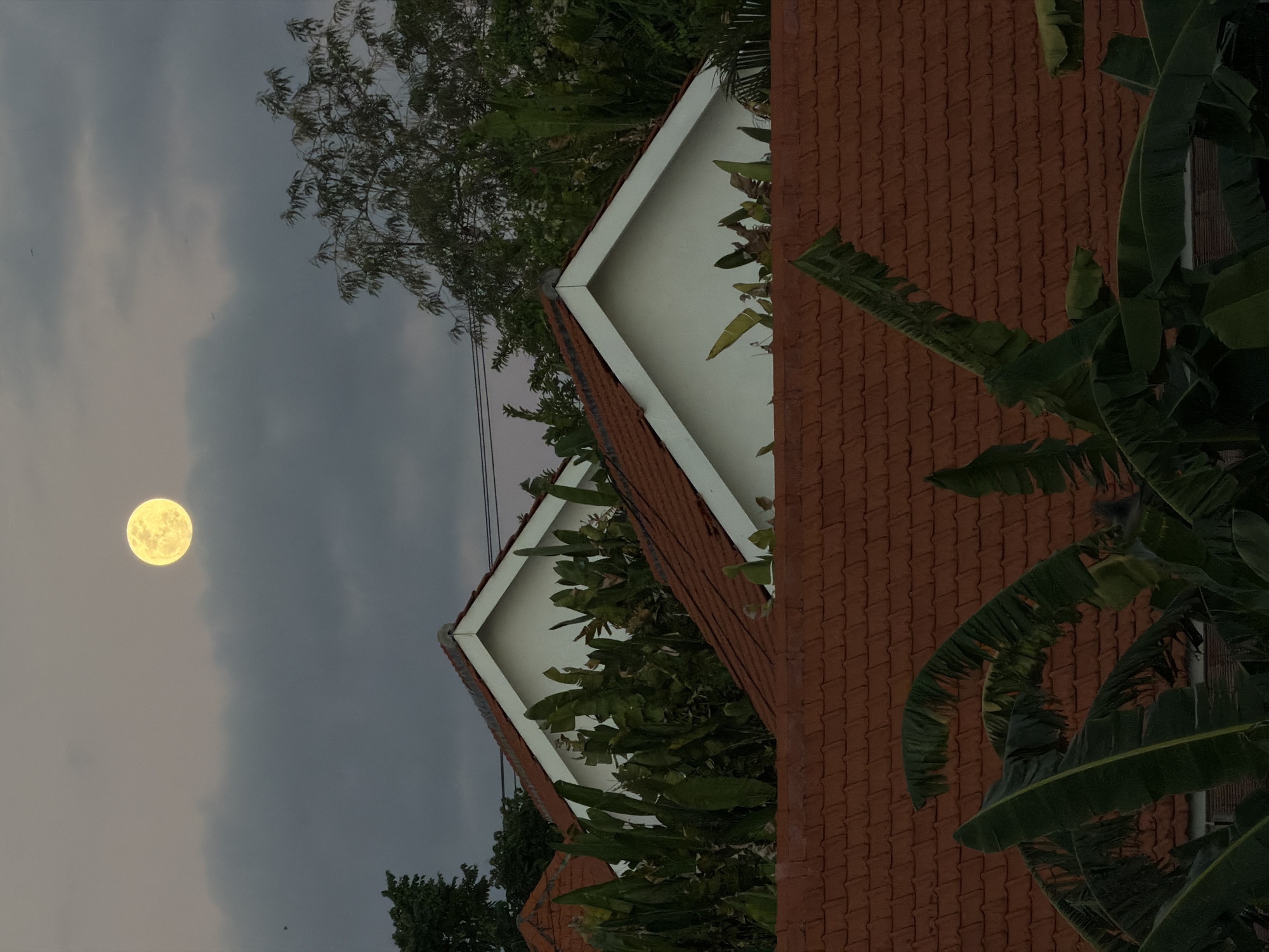 A full moon, glowing yellow, is visible in the overcast sky above several houses in North Kuta, Indonesia. The foreground is dominated by the red tiled roofs of houses, partially obscured by large, dark green banana leaves. Behind the foreground roofs, the white gabled walls of two other houses are visible, also surrounded by lush greenery. The overall impression is of a residential area in a tropical climate during twilight.