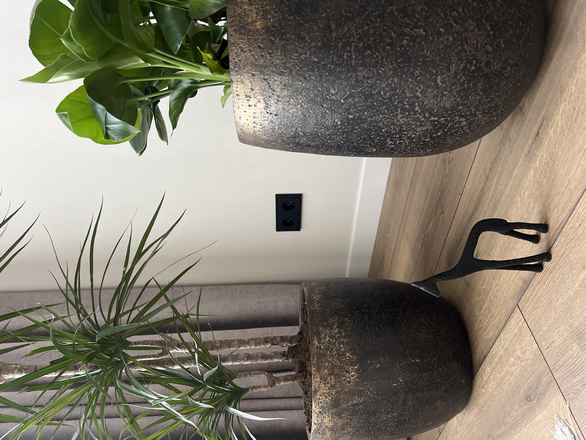 Two large, dark, textured plant pots with a bronze patina are placed on a light brown wooden floor. The pot on the left contains a Dracaena plant with long, slender green leaves. The pot on the right holds a plant with large, broad green leaves. In front of the left pot, a small, black, stylized metal sculpture of a giraffe stands on the floor. In the background, a neutral-colored wall is visible, with a black double electrical outlet mounted at mid-height. A section of grey curtain is visible behind the Dracaena plant. The image depicts an indoor scene, likely a home or a retail space, in Penza, Russia.