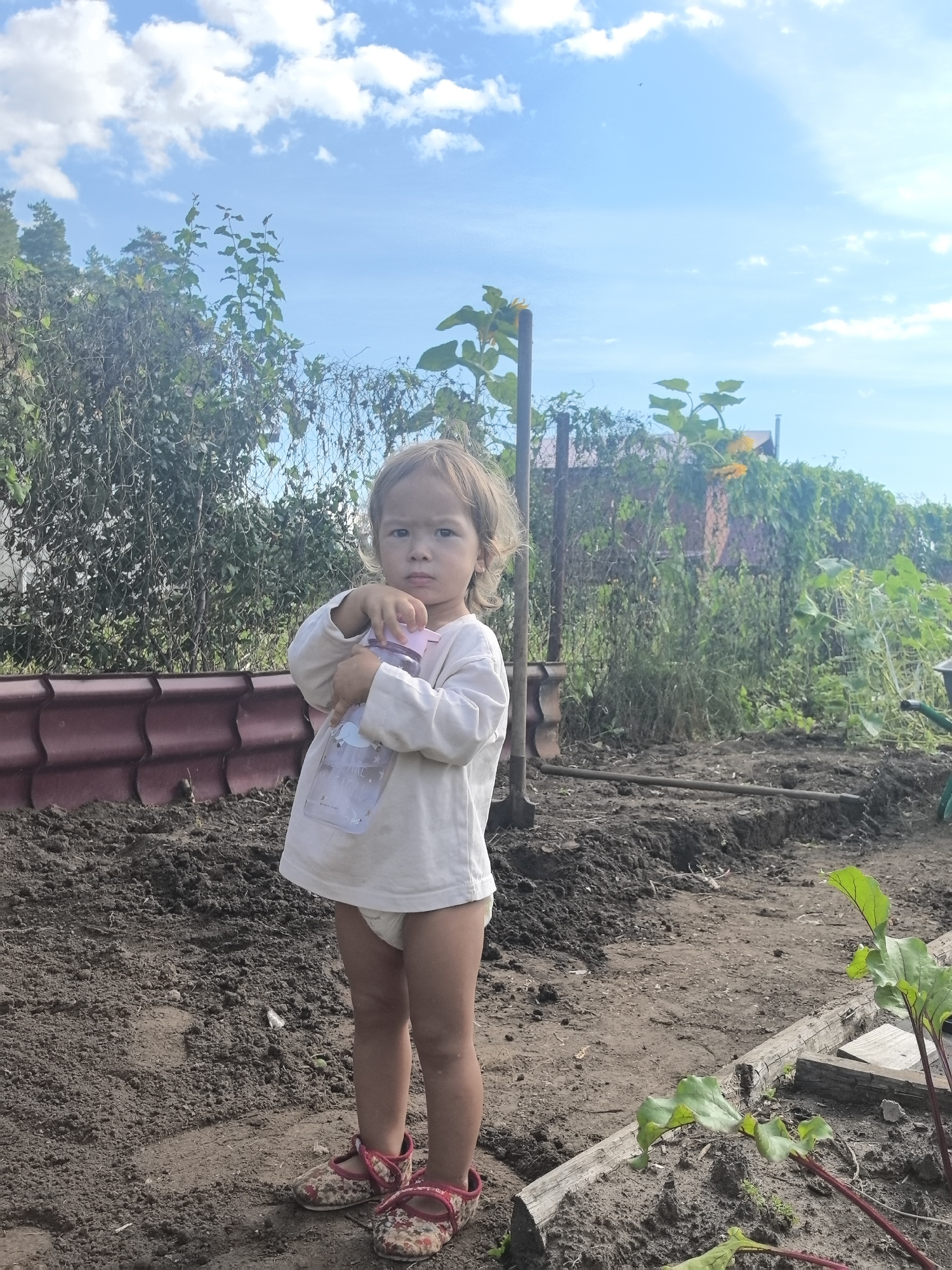 In the city of Noviy, Russia, on a bright, cloudy day, a young child stands in a garden bed. The child, wearing a white long-sleeved shirt and a diaper, holds a clear plastic water bottle with a pink lid. The child has blonde hair and a serious expression. The garden bed in front of the child is filled with dark soil, and a red-tiled border is visible to the left. Behind the child, lush green foliage and sunflowers create a natural backdrop. Tools such as a shovel and a rake are scattered in the soil, suggesting recent gardening activity. A wheelbarrow can be seen to the right. The overall scene depicts a child exploring a garden environment.