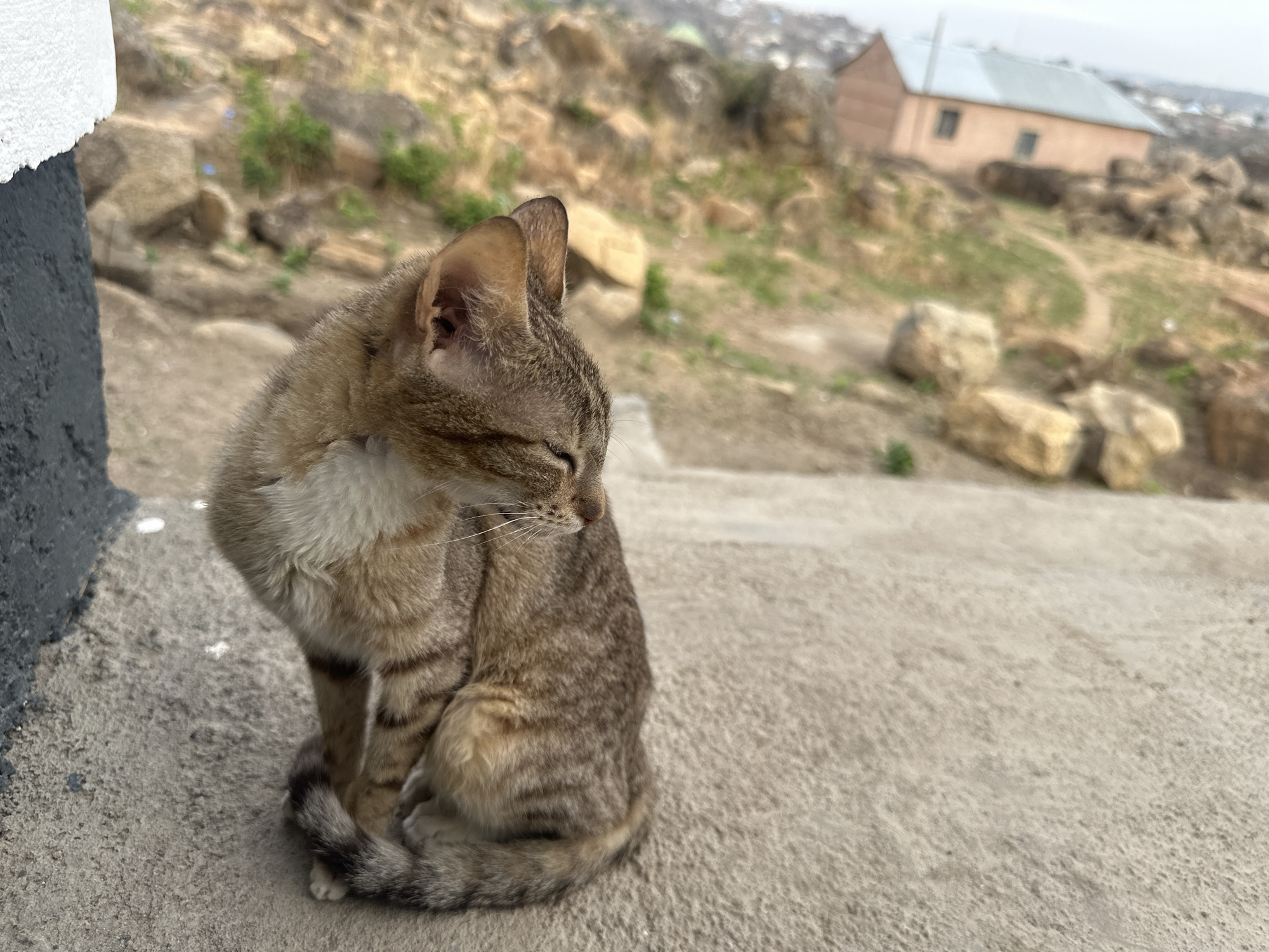 A medium shot depicts a tabby cat seated on a concrete surface, facing away from the viewer and slightly to the right. Its eyes are closed and its posture is compact. The background consists of a rocky landscape dotted with sparse vegetation, culminating in a blurred cityscape. A single-story building with a light-colored roof is visible among the rocks. The location is plausibly identified as Jos, Nigeria based on characteristics of the natural environment and architecture.