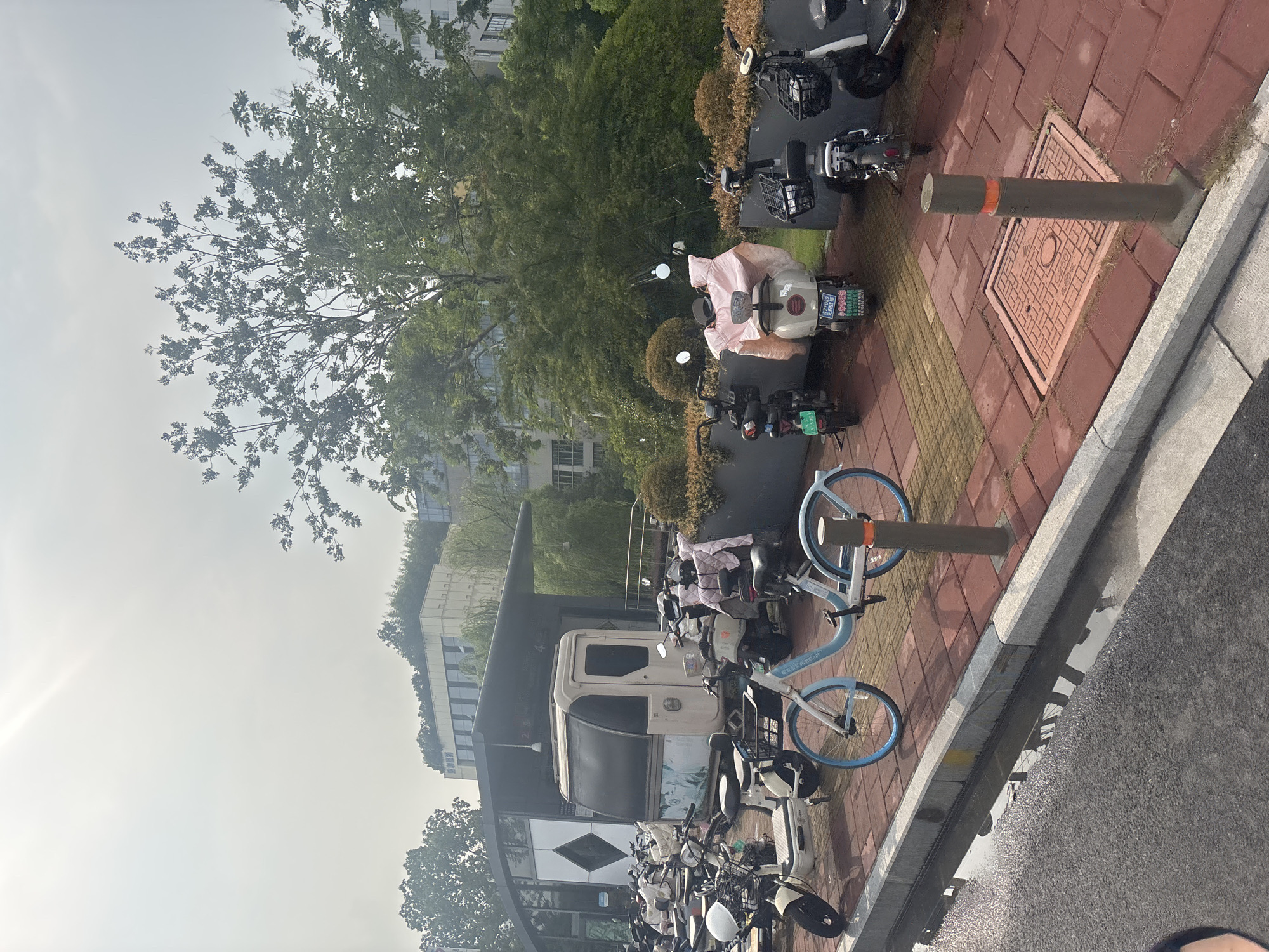 The image depicts an outdoor scene in Suzhou Industrial Park, China, on a bright, overcast day. In the foreground, a paved sidewalk with red brick tiling runs parallel to an asphalt road with a shallow puddle of water reflecting the sky. Several electric scooters and bicycles are parked along the sidewalk. Some of these vehicles are covered with light-colored sheets, one of which is pink. A light blue bicycle with blue rims is prominent. Behind the parked vehicles, a covered structure, possibly a bus stop or a charging station, is visible, featuring a white, enclosed booth with a dark roof. In the background, a dense green tree with lush foliage dominates the frame, with a building peeking out from behind it. The building appears to be modern with multiple windows. The overall impression is of a public area within a developed urban or suburban setting, likely a campus or a residential complex, with an emphasis on shared transportation.
