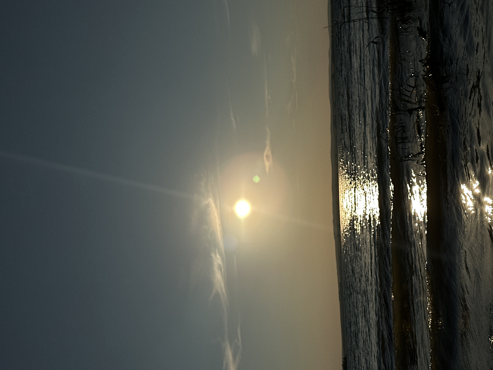 A vertical, full-shot photograph captures the sunset over a body of water, likely Energetik, Russia, as indicated by the user's prompt. The sun, a bright orb radiating a soft yellow glow, is positioned in the upper left quadrant of the frame, casting a shimmering reflection across the rippling water. Thin, wispy clouds streak across the horizon, tinted orange and yellow by the setting sun. The water itself is a deep blue, with waves catching the sunlight and creating a dazzling spectacle. In the foreground, a few blades of tall grass emerge from the water, silhouetted against the brighter reflections. The sky transitions from a pale blue at the horizon to a darker, almost indigo hue at the top of the image. The overall impression is one of tranquility and natural beauty.