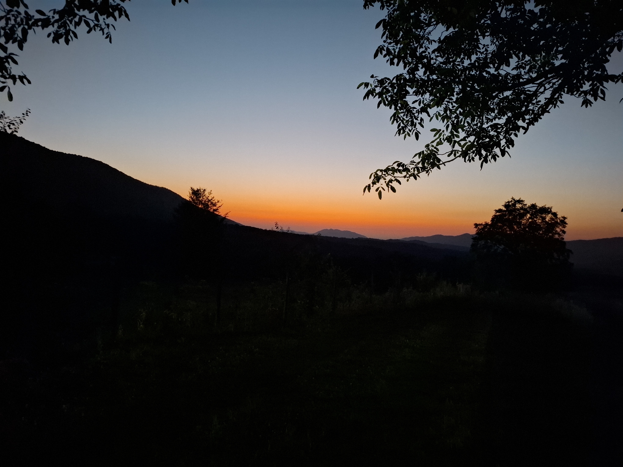 The image depicts a silhouetted landscape at dusk, with a gradient of colors in the sky ranging from deep blue at the top to a bright orange band near the horizon. A dark, conical hill or mountain is visible on the left side, with sparse trees dotting its upper slope. In the middle ground, a dense, dark mass of foliage and trees occupies much of the frame, obscuring details of the ground. On the right, a prominent, broad silhouette of a tree stands against the twilight sky. In the far distance, a series of undulating mountain ranges are visible, their shapes softened by the fading light. The foreground is almost entirely black, suggesting it is heavily shadowed or densely wooded. Overhanging branches and leaves from a tree are visible in the upper portion of the image, framing the scene from the top left and right. The overall atmosphere is serene and natural, characteristic of a rural or undeveloped area, potentially in the vicinity of Sel'mentauzen, Russia, given the mountainous terrain and vegetation. No people or specific actions are depicted.