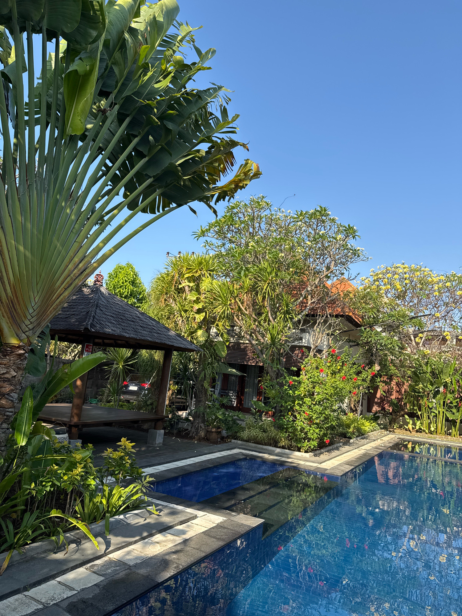 In Denpasar, Indonesia, a resort setting is captured on a clear, sunny day. The foreground features a shimmering blue swimming pool with clean water, bordered by grey stone coping. To the left of the pool, lush green vegetation thrives, including a large traveler's palm with its distinctive fan-shaped leaves. Further back, a dark-roofed wooden gazebo with a raised wooden platform provides a shaded seating area. Beyond the gazebo, a multi-story building with a red-tiled roof is visible, partially obscured by abundant tropical foliage. Flowering trees, one bearing white blossoms and another yellow, add vibrant color to the scene. A dark-colored vehicle is parked behind the gazebo. The environment suggests a tranquil and well-maintained tropical escape.
