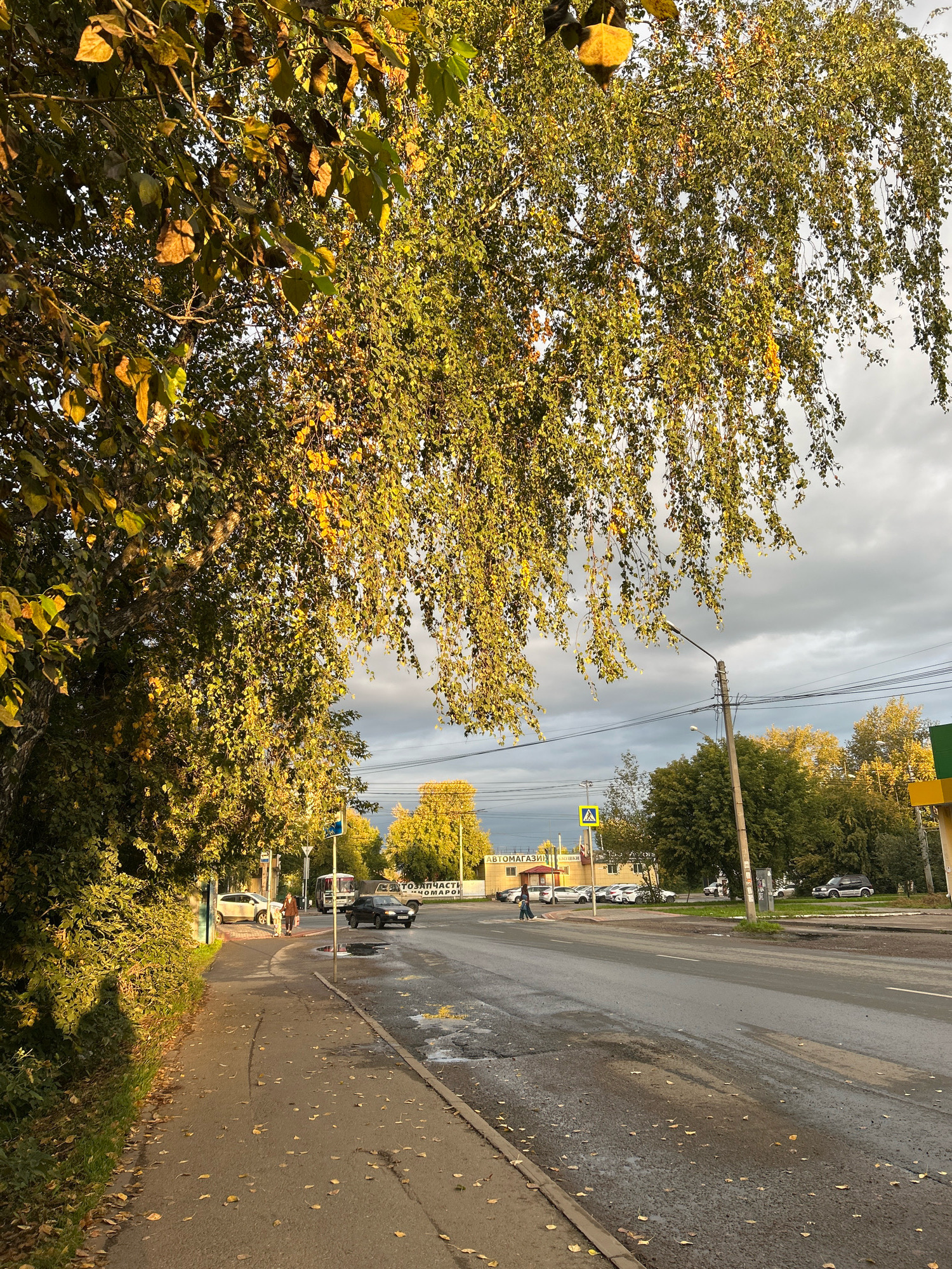 The image depicts a street scene in Tomsk, Russia, during autumn. A paved road runs through the center of the frame, with a sidewalk and a grassy verge to the left. Lush green trees with golden-yellow leaves hang over the sidewalk, casting shadows. The road shows signs of wear, with some puddles and patches of rough asphalt.
Several vehicles are visible: a white car and a bus are parked on the left side of the road, while a black car is driving in the right lane. Further down the road, a line of parked cars is visible in front of a building with a sign that reads "Автомагазин" (Avtomagazin, meaning car shop).
A pedestrian is walking on the sidewalk in the middle ground, and another person is crossing the road. A traffic light and a pedestrian crossing sign are also present. The sky is overcast with dramatic, dark clouds, suggesting a change in weather. The overall impression is of a typical urban autumn day, with the natural beauty of the changing leaves contrasting with the functionality of the city street.