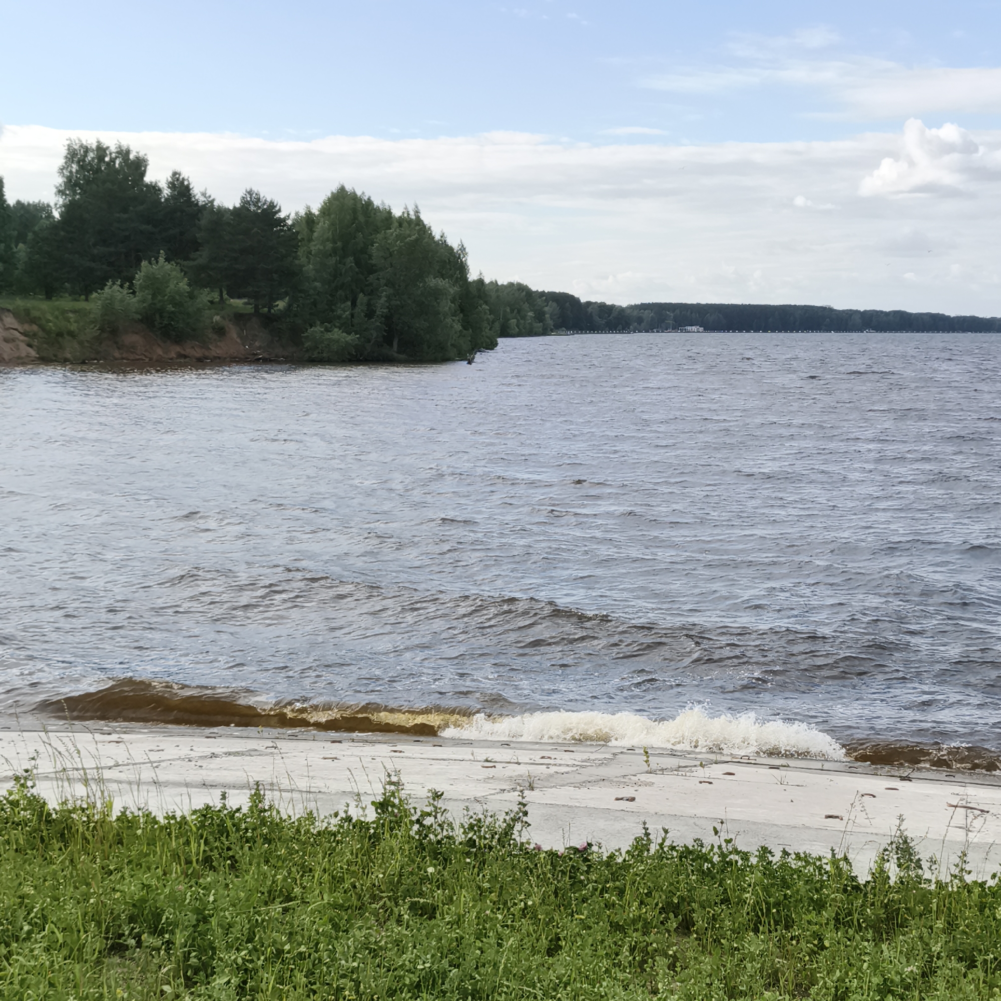 The image shows a wide body of water with ripples and waves, suggesting a lake or large river. The water is a dark gray-blue color. On the left side of the frame, a sandy embankment covered with trees rises from the water's edge. The trees are lush and green, forming a dense line along the bank. In the distance, across the water, a dark green line of trees stretches along the horizon, with some structures visible near the left side of this distant treeline. The sky is a pale blue with scattered white clouds. In the foreground, there is a concrete embankment or shoreline, partially covered by green grass and other low-lying vegetation. Small waves are breaking on the concrete edge of the water. The overall scene is a natural landscape, likely a waterfront area in or near Chaikovsky, Russia, given the presence of such bodies of water and forested areas in that region. There are no people or animals visible in the image.