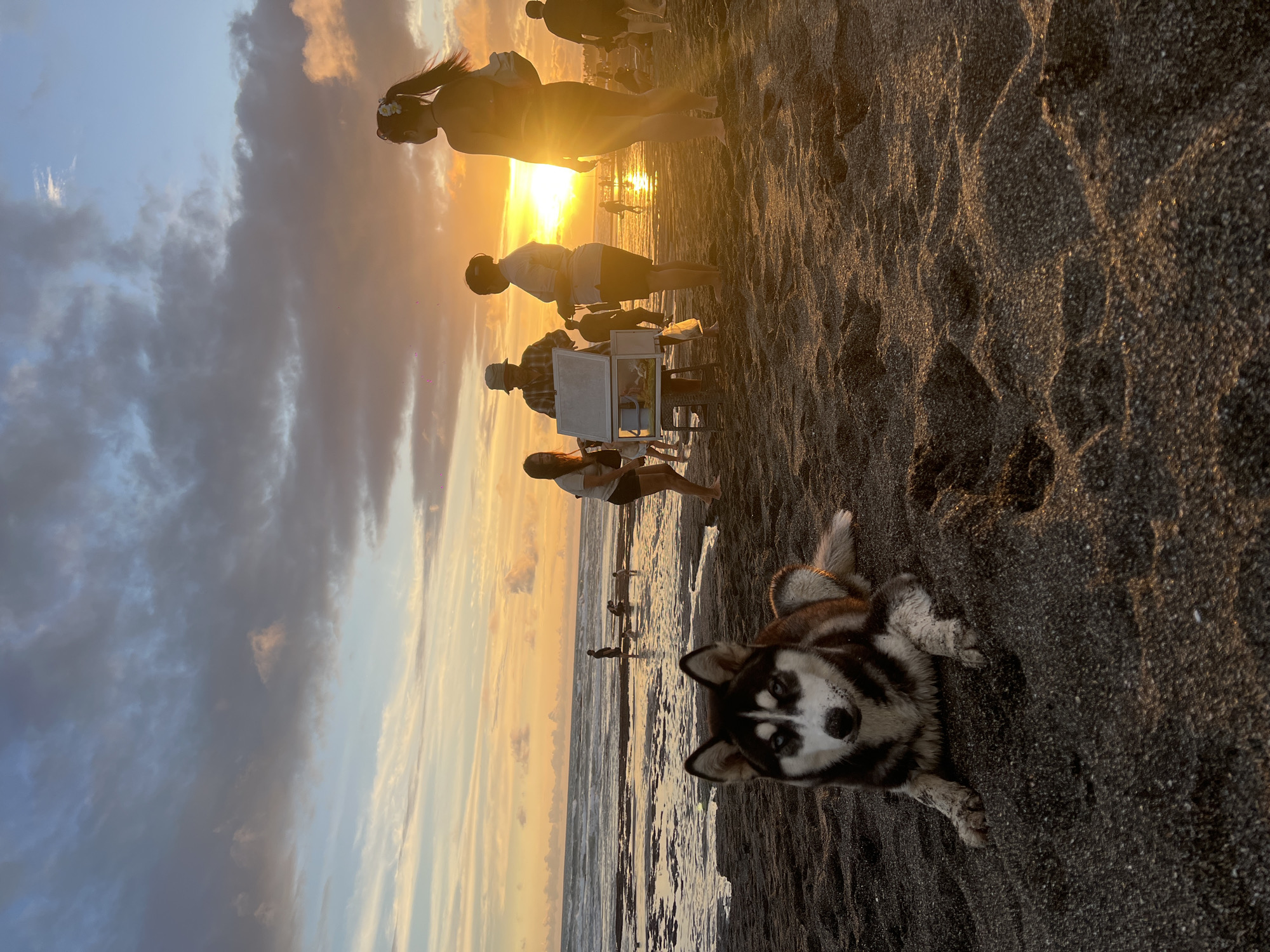 This image shows a beach scene at sunset, likely in Mengwi, Indonesia. The sky is a mix of blue, gray, and orange hues. The beach has dark sand. In the foreground is a husky lying down on the sand. Further in the background are several people standing on the beach. One individual is wearing a flower crown. An ice cream vendor with a wheeled cart is visible. A few people are walking in the ocean.