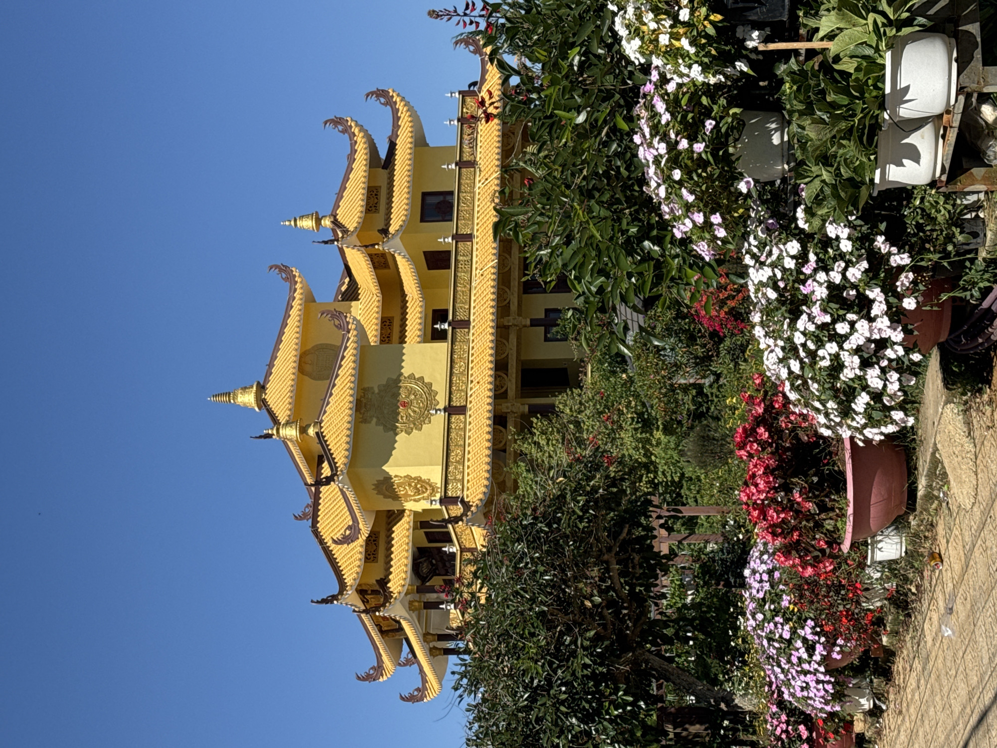 A multi-tiered, bright yellow Buddhist temple with ornate, curved rooflines is the central subject of the image. The temple is adorned with intricate gold detailing and sits against a clear, bright blue sky. In the foreground, lush green trees and a vibrant display of potted flowers in shades of pink, red, and white line a tiled pathway. The overall scene suggests a well-maintained and visually striking religious site, likely a tourist attraction in Da Lat, Vietnam, given the architectural style and abundant flowering plants typical of the region. The image is taken from a slightly low angle, emphasizing the grandeur of the temple.