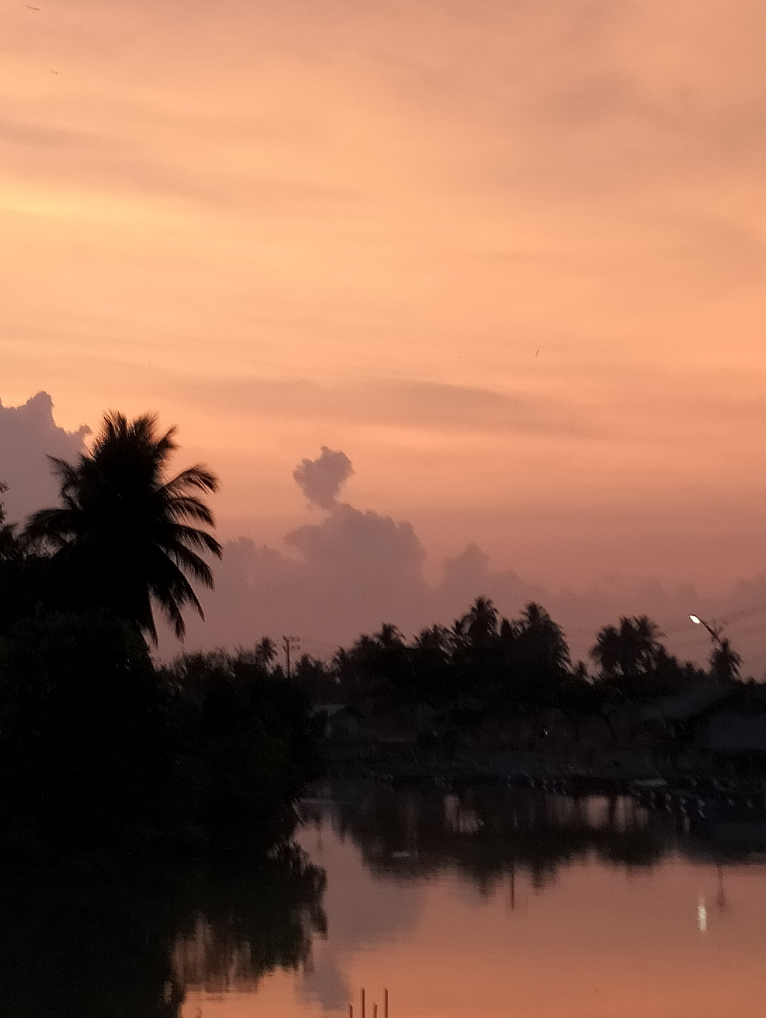 This serene photograph captures a sunset or sunrise over a body of water in Lhokseumawe, Indonesia. The sky dominates the upper two-thirds of the frame, painted with soft, warm hues of orange, pink, and peach. Wispy clouds are scattered across the sky, with one cloud in the upper-middle portion forming a distinct, almost heart-like shape. A few tiny specks, possibly birds or dust, are faintly visible against the bright expanse.
In the foreground, a calm body of water perfectly mirrors the vibrant colors of the sky and the dark silhouettes along the distant shoreline. On the left, a large, silhouetted palm tree with clearly defined fronds stands prominently against the bright sky. Further along the horizon, dense clusters of other palm trees and foliage form a dark, undulating line.
Subtle human elements are visible in the distance: dark shapes resembling houses or small buildings are nestled among the trees, suggesting a village or coastal settlement. A solitary street light glows faintly on the far right, providing a small point of artificial light, and utility poles with wires can be discerned amidst the treeline. No people or visible text are present. The overall atmosphere is one of peaceful twilight, highlighting the natural beauty of the tropical landscape during a transitional period of day.