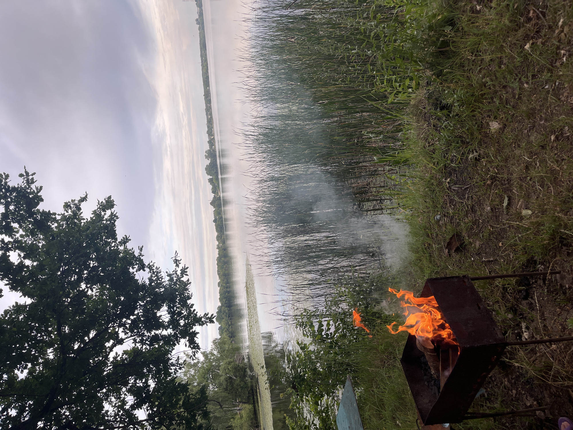 The image depicts an outdoor scene with a lake, reeds, a campfire, and trees. The viewpoint is from the grassy bank of the lake, looking out over the water. In the foreground, a metal brazier contains a vibrant orange fire with wisps of smoke rising. Tall, green reeds line the edge of the lake, and to the left, the dark green foliage of a large tree is visible against a cloudy sky. The lake stretches into the distance, reflecting the muted, overcast sky. The opposite shore is lined with trees and some structures, suggesting a rural or semi-rural setting. The overall mood is peaceful and natural, likely a summer evening given the campfire. The time of day appears to be late afternoon or early evening, with the clouds suggesting a potentially cool or humid day. There is no visible text in the image.