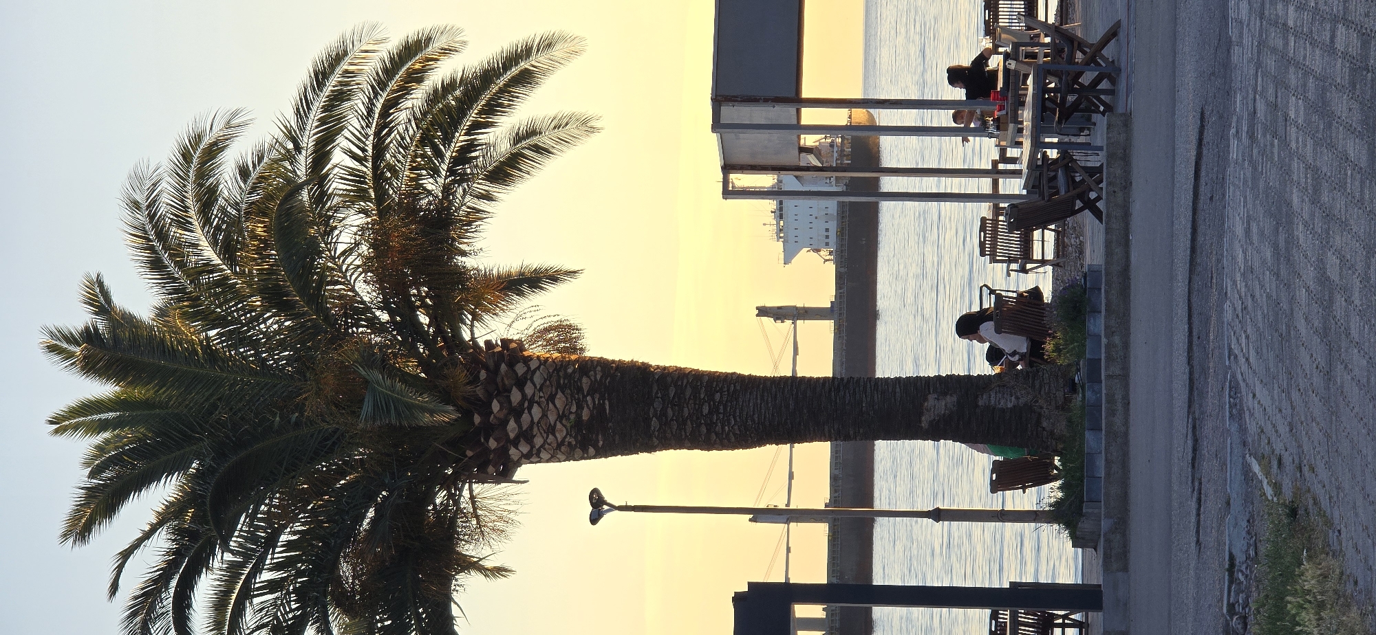 This photograph, taken in Bar, Montenegro, depicts a tranquil seaside scene at dusk. A large palm tree, dominating the left side of the frame, is the focal point. To the right, the Adriatic Sea stretches out to the horizon where a large cargo ship is visible. A pier and crane are also visible in the water near the ship.
A paved walkway runs along the coastline and on the right of the image there are tables and chairs that appear to be part of an outdoor cafe. At least two individuals are seated at the tables, seemingly engaged in conversation. Nearer to the foreground, two people are seated together on a bench, possibly observing the sunset.
A simple lamppost stands near the base of the palm tree. The sky is a gradient of soft pastel colors, indicating the time of day. The overall mood is serene, capturing a moment of relaxation by the sea.