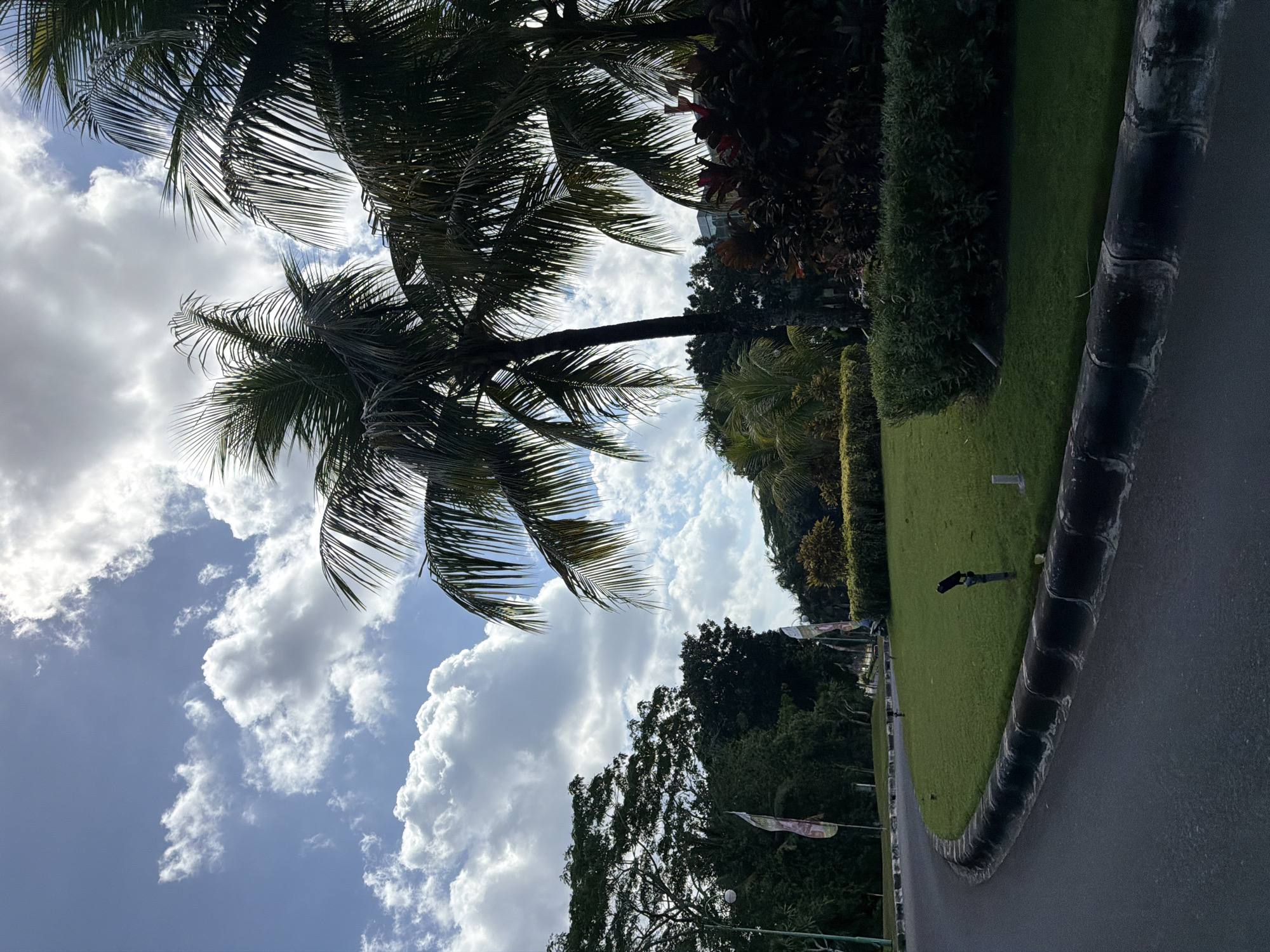 The image captures an outdoor tropical scene in Kuta Selatan, Indonesia, under a bright, partly cloudy blue sky. The foreground features a curving asphalt road that bends sharply to the left. This road is bordered on its inner edge by a dark, block-style concrete curb, which separates it from a well-maintained, vibrant green grass median. Embedded in the grass are at least two small, dark pole-mounted fixtures, possibly ground lights or sprinklers.
On the right side of the frame, several tall palm trees with dark fronds are prominently silhouetted against the bright sky, indicating strong backlighting. Beneath these palms, dense tropical bushes with varying shades of green and some reddish-brown foliage create a lush appearance. In the background on the right, a faint grey structure, possibly a building, is partially obscured by the foliage.
The left side of the road is lined with a dense array of large green trees with full canopies, suggesting a forested or heavily landscaped area. Among these trees, two vertical banners or flags on poles are partially visible. The overall environment is one of carefully managed tropical vegetation. No individuals, vehicles, or animals are visible within the frame. The lighting suggests daytime, with distinct shadows and bright areas of sky.