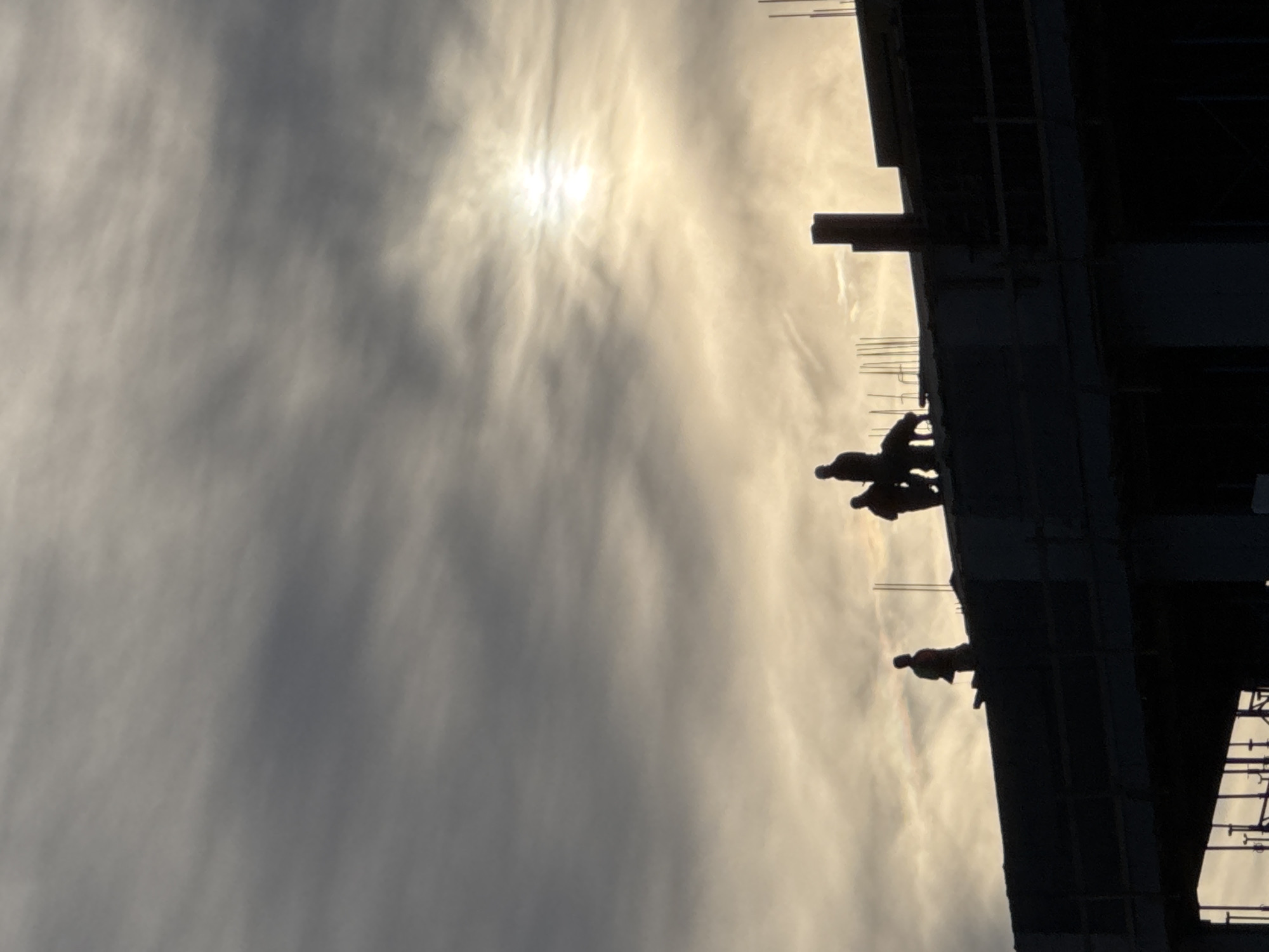 The image depicts a multi-story concrete structure under construction in Budva, Montenegro, silhouetted against an overcast sky at either sunrise or sunset. The sun, partially visible and intensely bright, is positioned in the upper right quadrant, casting strong backlighting that renders all elements below the horizon line as dark silhouettes. The sky displays a gradient of grays, pale yellows, and oranges, with visible cloud streaks.
On the uppermost concrete slab of the construction site, four human figures are visible in silhouette. One individual stands on the far left, facing left. Towards the center-right, three figures are clustered. The leftmost of these three stands, oriented to the right. Adjacent, another individual is bent forward, seemingly interacting with a quadrupedal animal, consistent with the form of a dog, standing on the rooftop. The fourth human figure stands to the right of this interaction, oriented to the left. Exposed rebar elements protrude vertically from the concrete slab at various points along the rooftop, indicating ongoing structural work. The lower sections of the building are entirely obscured by shadow.