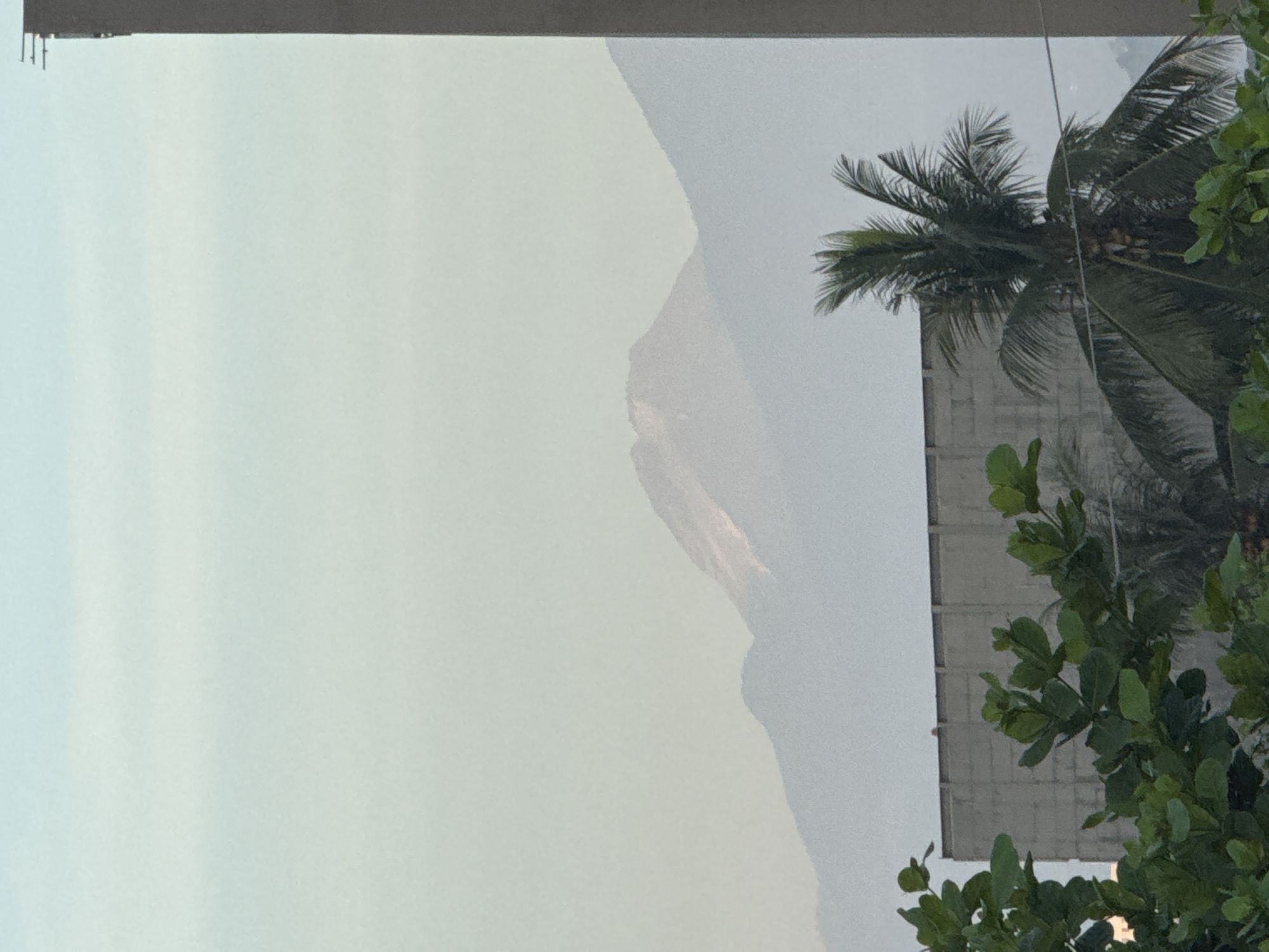 The image shows a view from a building or window, possibly a hotel or apartment, in Davao City, Philippines. The sky is overcast and hazy. A mountain range is partially visible through the haze, likely Mount Apo. A palm tree and other green foliage are in the foreground, positioned to the right. Part of a building with a light-colored facade is also visible, partially obscured by the foliage. The photograph is taken at an angle. A gray horizontal bar, likely part of the building's structure, is at the top of the frame.