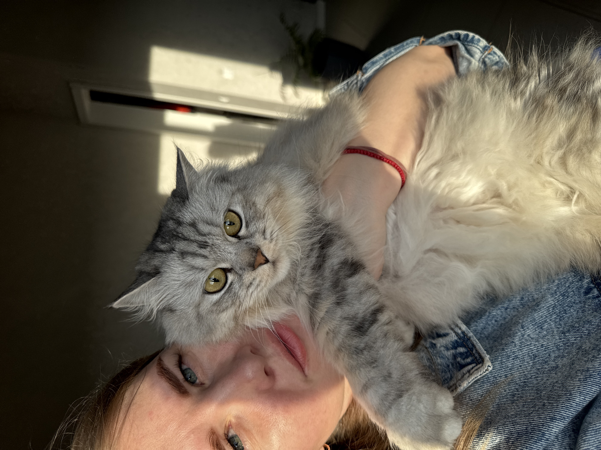 A woman with blue eyes is holding a gray and white cat. The woman is wearing a denim jacket. The cat is looking directly at the camera. A red bracelet is on the woman's wrist. An air conditioner is visible on the wall behind them. The location is Gornyi (Dvurechenskoe S/P), Russia.