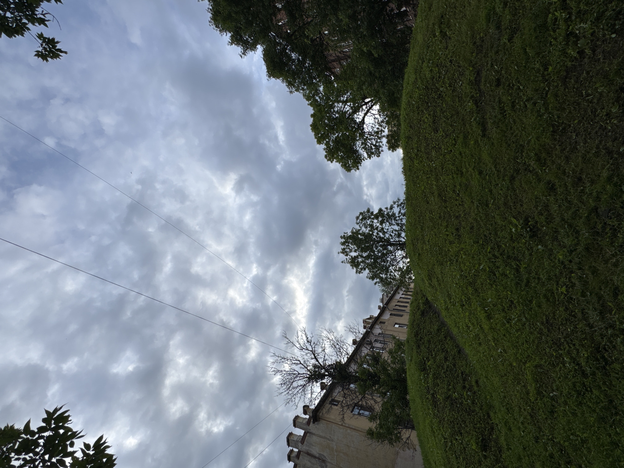 The image depicts an upward-facing view of an urban setting in Saint Petersburg, Russia, under a cloudy sky. The foreground is dominated by a large, meticulously trimmed green hedge that curves diagonally across the frame. Behind the hedge, a building with a somewhat aged facade is visible, featuring multiple windows and crenellated architectural details on its lower section. Bare branches of a tree extend from the building's roofline, contrasting with the lushness of the hedge. The sky is filled with dramatic, grey clouds, suggesting overcast weather, with some brighter patches indicating diffused sunlight. Several thin wires traverse the sky horizontally, indicating the presence of overhead utility lines, common in urban environments. The overall impression is one of an outdoor scene on a cloudy day in a historical European city, with a focus on the juxtaposition of manicured nature and architectural elements. The time of day is indeterminate due to the overcast conditions, but the diffused light suggests it is daytime.