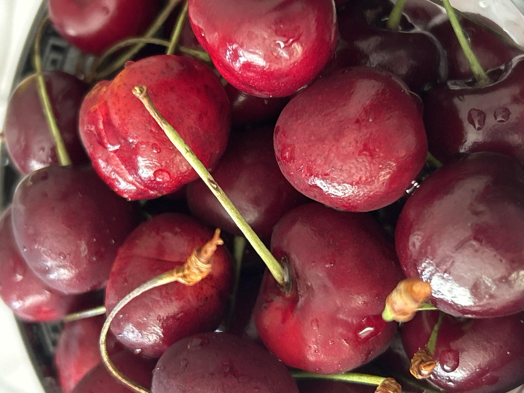 A close-up, overhead shot shows a bowl filled with ripe cherries. The cherries are deep red, with some lighter red highlights, and many have small water droplets on their surfaces, suggesting they have been recently washed. Several cherries have green stems, and some of these stems have attached dried brown remnants. The background is blurred, but appears to be the dark rim of a bowl. The image is a still life, with no people or action depicted. The image was taken in Марковский, Russia.