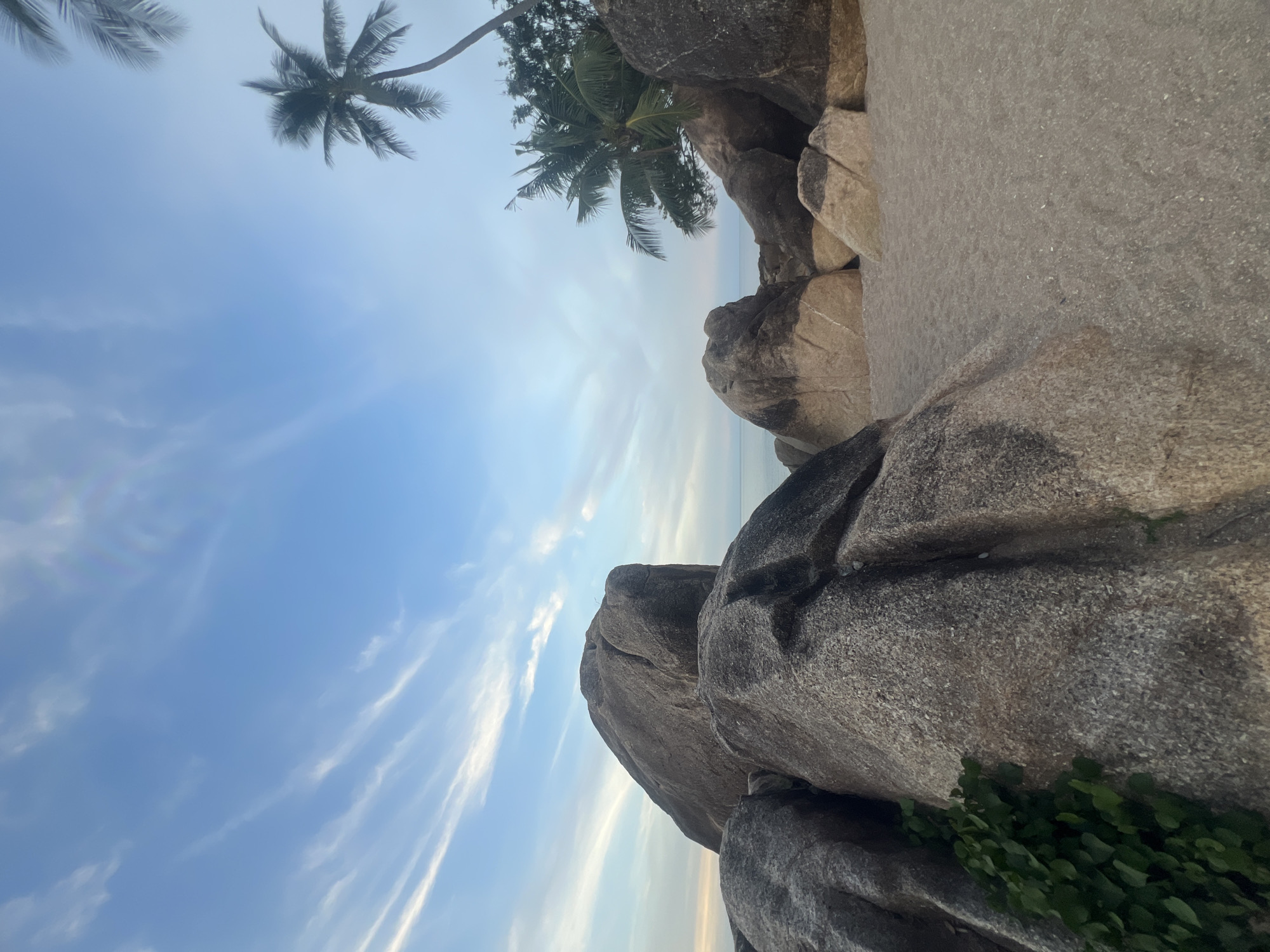 This is a wide-angle shot of a rocky beach with palm trees under a blue sky with wispy clouds, possibly taken at sunset. In the foreground, large, weathered boulders dominate the left and center of the frame, with patches of green vegetation growing on the left-most rocks. The sand of the beach occupies the lower right quadrant, leading towards the ocean which is visible in the distance as a thin strip of calm water. Several more boulders are scattered across the beach, some with lighter, sandy tones, contrasting with the darker, grey rocks. A tall palm tree with fronds reaching towards the sky is visible on the right side of the image, partially obscuring a cluster of trees and other palm trees further back. The overall scene conveys a tranquil tropical atmosphere. This could be a section of the coastline in the Koh Samui District of Thailand, known for its beaches and rock formations. There are no people or animals present in the image.