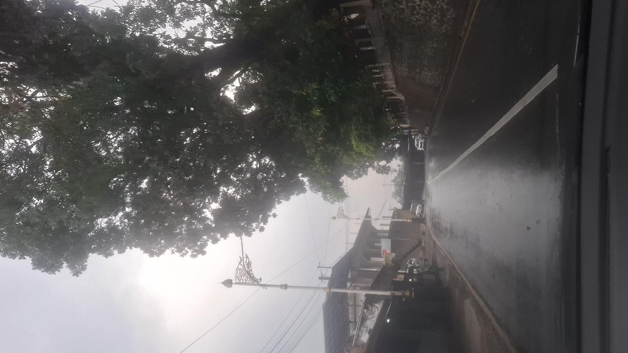 The image shows a wet road in Cilaku, Indonesia, likely during or after rainfall. The sky is overcast, contributing to a dim and possibly hazy atmosphere. On the left side of the road, there are buildings with dark roofs and awnings, and a decorative lamppost. Several vehicles, including cars and a van, are visible on the road and parked near the buildings. To the right of the road, a stone wall runs along the edge, with a large tree dominating the upper right portion of the frame, its dense foliage obscuring a significant portion of the sky. The road itself is dark and reflective due to the wet surface, with a white line marking the center. The perspective suggests the photo was taken from inside a vehicle.
