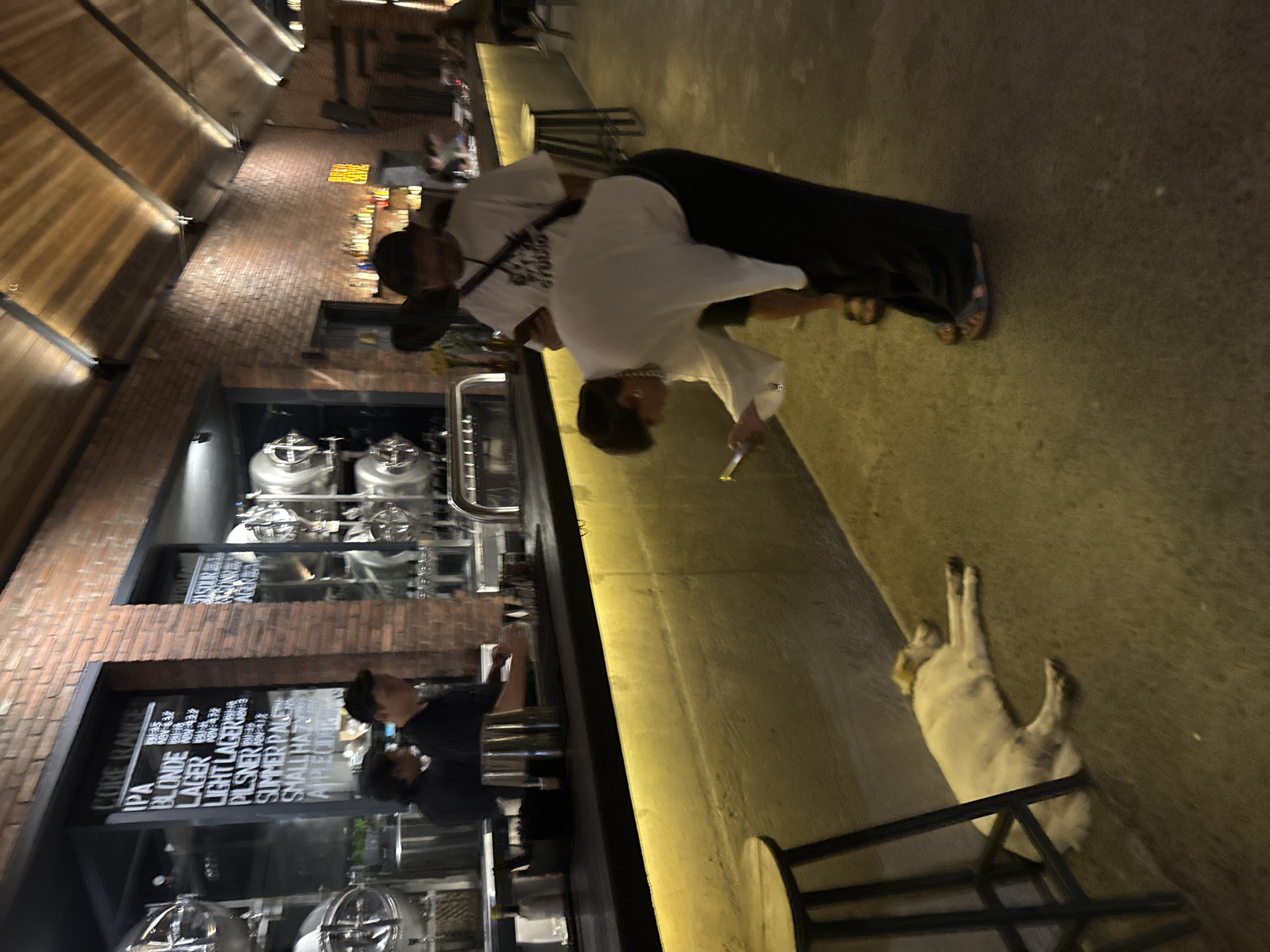 The image shows the interior of a brewery and bar, likely located in North Kuta, Indonesia, based on the setting. Two people are seen interacting near the bar. One person is holding a phone in their left hand. Behind the bar, two employees are working. The beer selection is displayed on a sign. Brewing tanks are visible in the background. In the foreground, a dog is sleeping next to a chair.