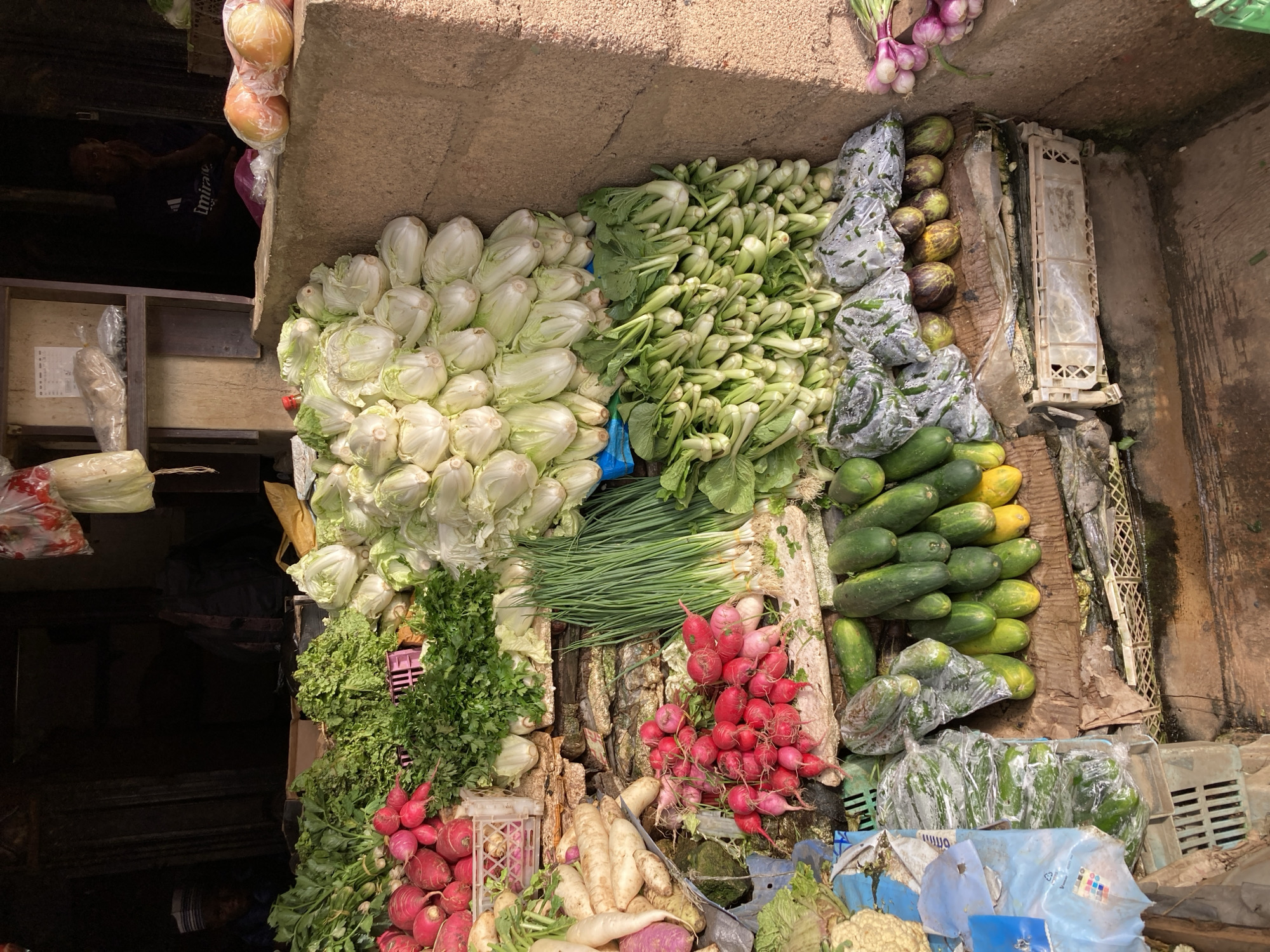 This is a medium-shot, eye-level, outdoor photograph of a bustling vegetable market stall, likely in Jos, Nigeria, given the arrangement and variety of produce commonly found in West African markets. The stall is packed with a diverse assortment of fresh vegetables, neatly arranged in crates and piles.
In the foreground and midground, prominent displays of vegetables include vibrant red radishes, leafy green herbs like parsley and cilantro, and what appear to be bunches of spring onions. There are also large piles of pale green napa cabbage or similar lettuce varieties, as well as bunches of bok choy or similar leafy greens. A significant quantity of cucumbers, some whole and some sliced and packaged in plastic, are also visible, alongside some smaller, elongated, dark-skinned fruits or vegetables that resemble small eggplants or gourds. A few whole onions with purple skins are present on the right side. In the background, a dark, recessed stall area is visible, with a person partially obscured, appearing to be a vendor or customer. The stall's structure is rough, with concrete and what looks like corrugated metal or wooden planks. The ground surface is dirty, with some visible puddles of water, indicating recent rain or water used for washing produce. The overall impression is one of abundance and the lively atmosphere of a local market.