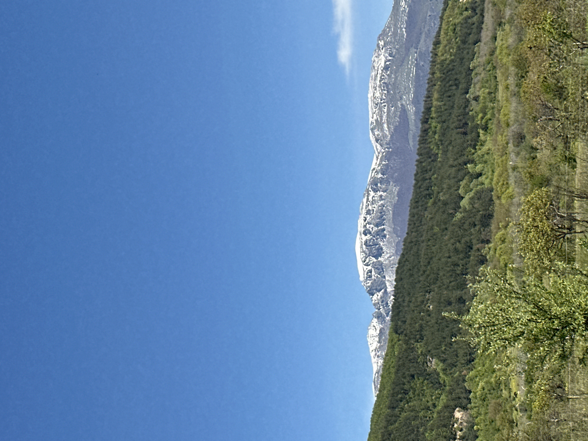 The image captures a mountain landscape near Osetenovo, Bulgaria. The sky is a clear, bright blue, occupying the left portion of the frame. To the right, a mountain range ascends, its peaks partially covered in snow. A dense forest, primarily evergreen, blankets the lower slopes of the mountain. In the foreground, trees with budding green leaves are visible. The overall scene conveys a clear, sunny day in a mountainous region. There are no people visible in the image.
