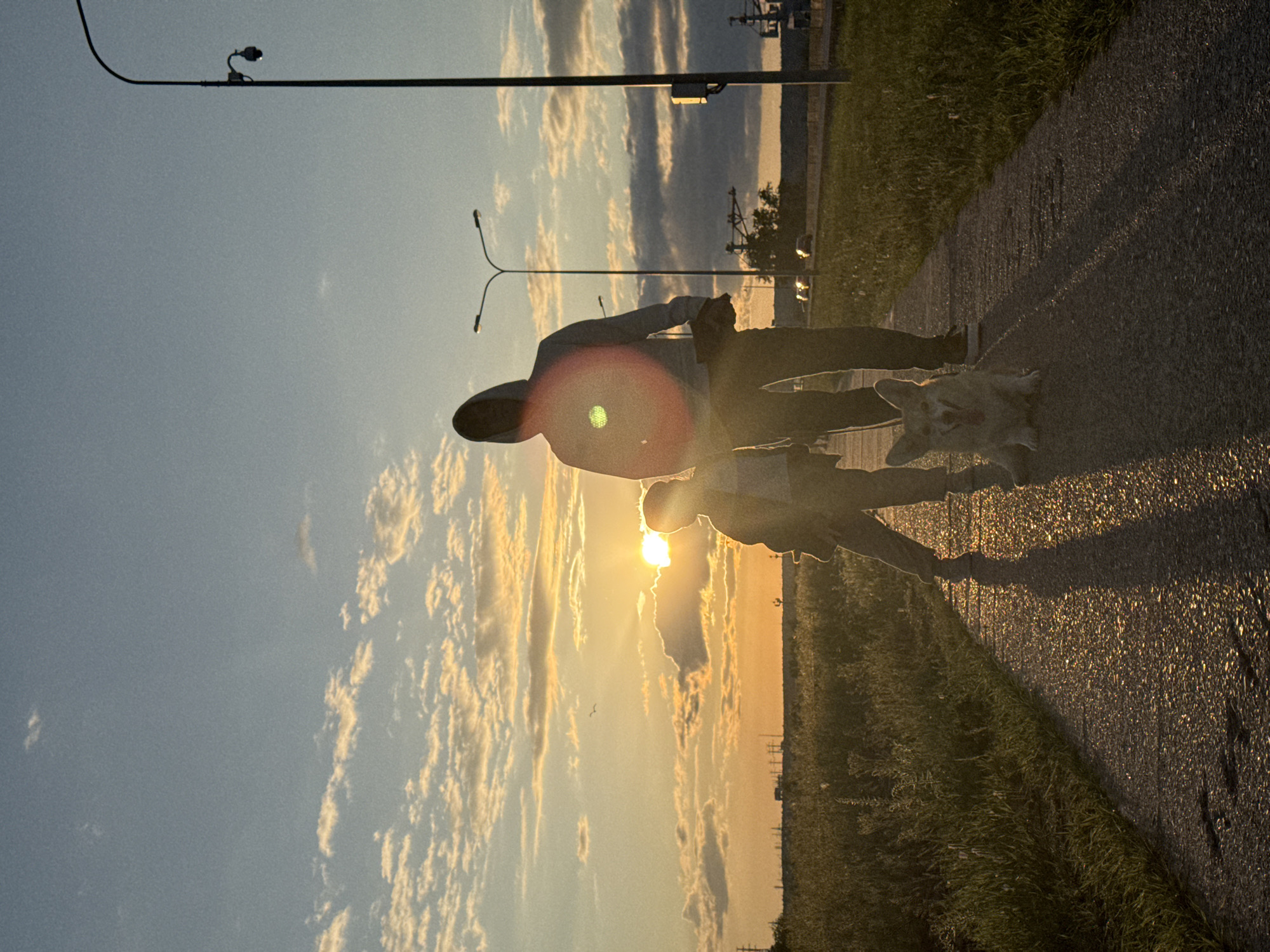 The image depicts a sunset scene on a paved path, likely in the city of Chaikovsky, Russia. Silhouetted figures of a person and a child are walking on the path, accompanied by a corgi dog. The dog is sitting on the path, facing forward, with its tongue sticking out. The setting sun casts long shadows on the path and illuminates the sky with warm orange and yellow hues. Clouds are scattered across the sky, some tinged with the sunset colors. In the background, a street lamp stands tall, and a few cars are visible on a road to the right. The area is bordered by grass and foliage, suggesting a park or an open area on the outskirts of the city. Power lines and industrial structures can be seen in the distance, hinting at an urban or semi-urban environment. The overall atmosphere is serene and peaceful, capturing a moment of a family outing at dusk.