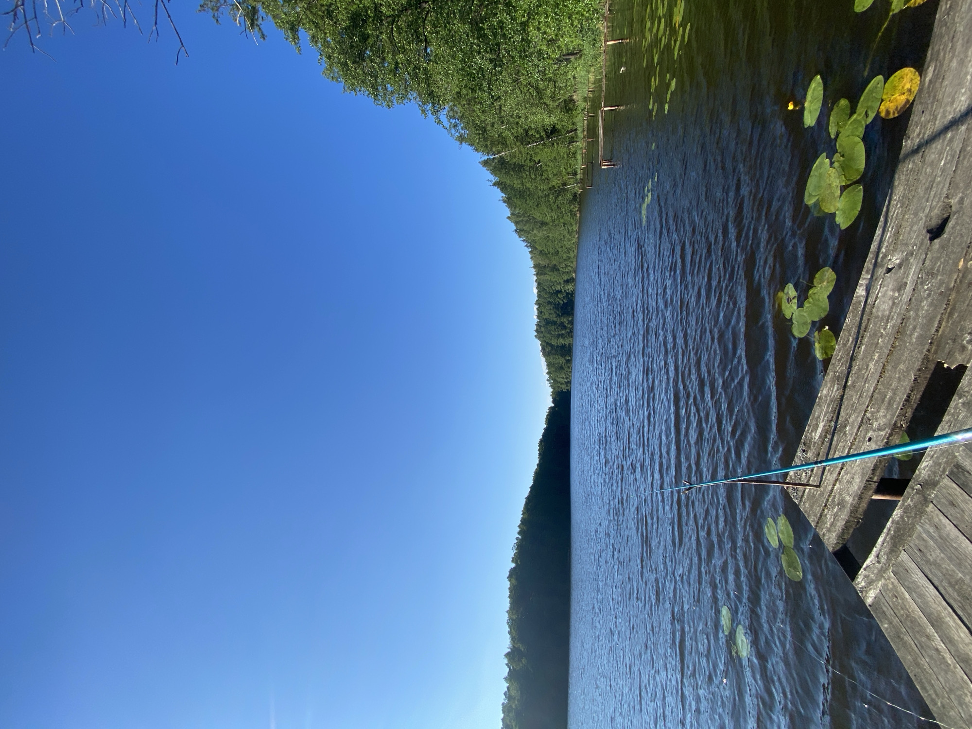The image depicts a serene natural scene on a clear, sunny day. The perspective is from a wooden pier, looking out over a tranquil body of water. A fishing rod extends from the pier into the water, suggesting the activity of fishing. The water is calm, with a gentle ripple pattern across its surface. Scattered on the water are several large, green lily pads.
To the right of the water, the wooden pier is visible, showing weathered planks. The scene is bordered by a dense line of lush green trees, characteristic of a forest, that stretches along the far bank of the water. Above the trees, a vast expanse of clear blue sky dominates the upper portion of the image. The lighting and clear sky indicate it is daytime, likely midday. The overall mood is peaceful and tranquil, evoking a sense of calm and relaxation. There is no visible text in the image. The location context suggests this scene is situated within the Азёрскі сельскі Савет in Belarus.