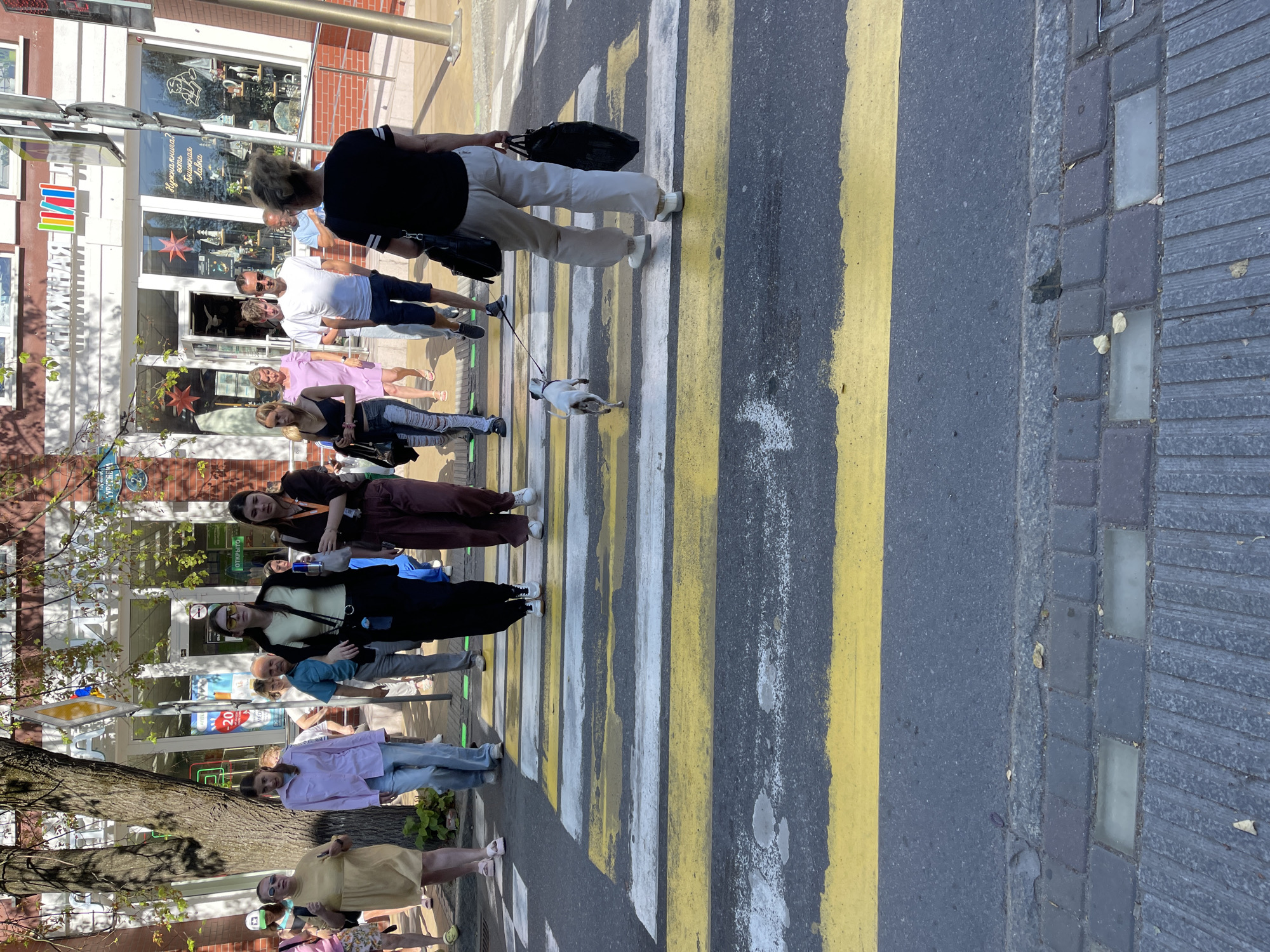 In this image, a group of people are walking across a pedestrian crossing on a sunny day. The crossing has distinctive yellow and white stripes. The people are diverse in age and gender, and some are carrying bags. One person is walking a small white dog on a leash.
In the background, there are buildings with shopfronts. Some of the shops have signs with Cyrillic text. One sign is particularly noticeable with the word "НИКИ" in large letters. Another sign displays a sale advertisement with " -20%" prominently featured. The architecture suggests an urban environment. The lighting indicates it is daytime, likely late morning or early afternoon, given the distinct shadows. The mood appears casual and relaxed, with people going about their day. The presence of trees and the overall bright lighting suggest pleasant weather. The location is Zelenogradsk, Russia.