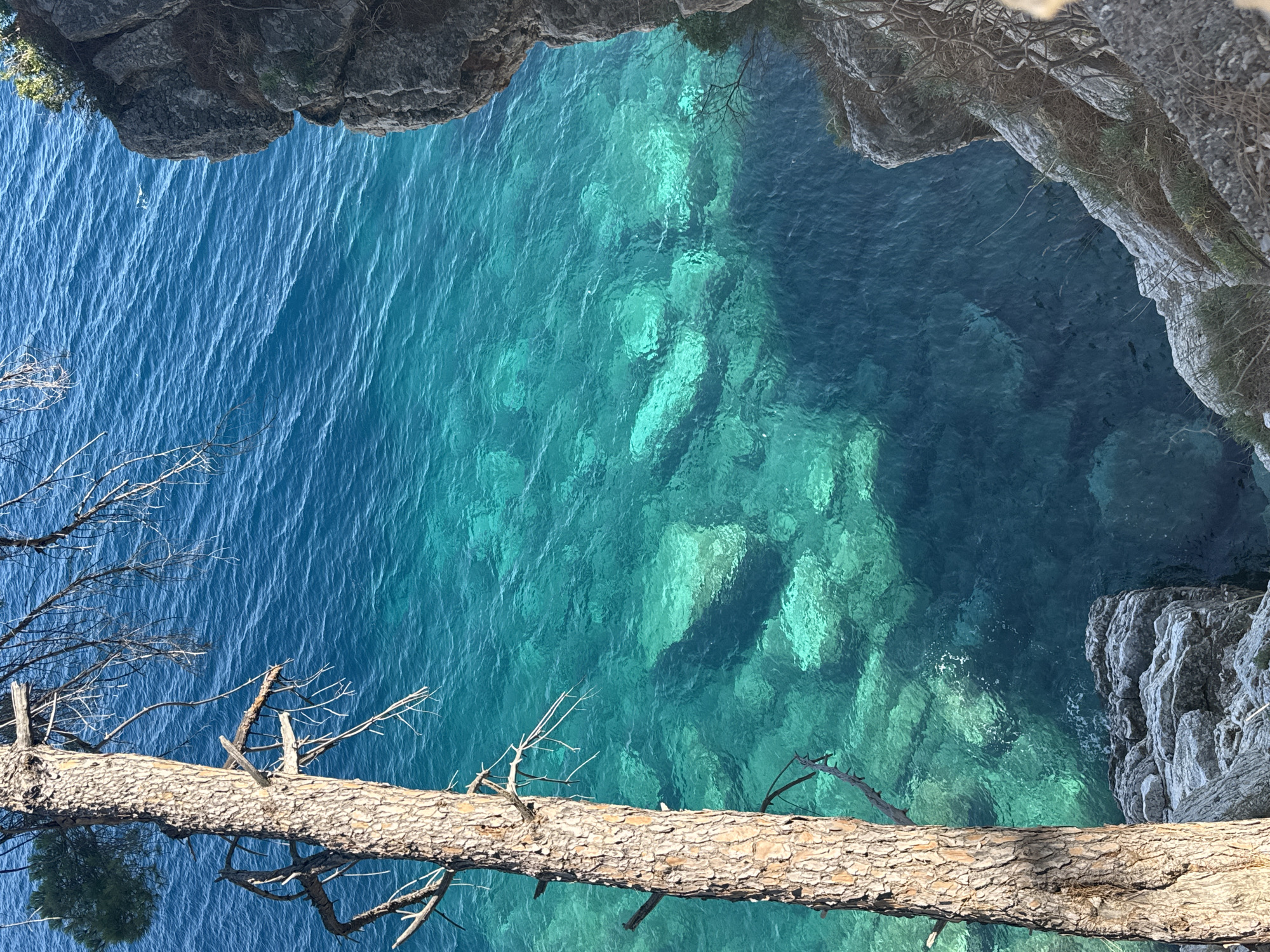 A vertical, medium-angle shot captures a dramatic view of the Adriatic Sea from a cliffside overlooking Petrovac na Moru, Montenegro. In the foreground, the rough, textured bark of a tall, slender pine tree dominates the left side of the frame. Its bare branches extend outwards, some stark and dry, others sparsely dotted with green needles. The tree trunk casts a shadow across the rocky terrain at its base, where weathered grey stones are scattered.
The clear, turquoise water of the sea fills the majority of the image, revealing the underwater landscape with remarkable clarity. Sunlight penetrates the water, illuminating submerged rocks and creating a mosaic of light and shadow. The surface of the sea is gently rippled, reflecting the bright blue sky above.
To the right, the rugged face of the cliff descends steeply into the water. Its grey, rocky surface is adorned with sparse, dry vegetation and small, hardy green plants clinging to its crevices. The rock formations are angular and weathered, indicating a natural, untamed coastline.
The overall scene is one of natural beauty and tranquility, showcasing the vibrant colors and textures of the Montenegrin coast. There are no people or animals visible in the image. The environment is characterized by a sunny day, calm seas, and the raw elements of nature.