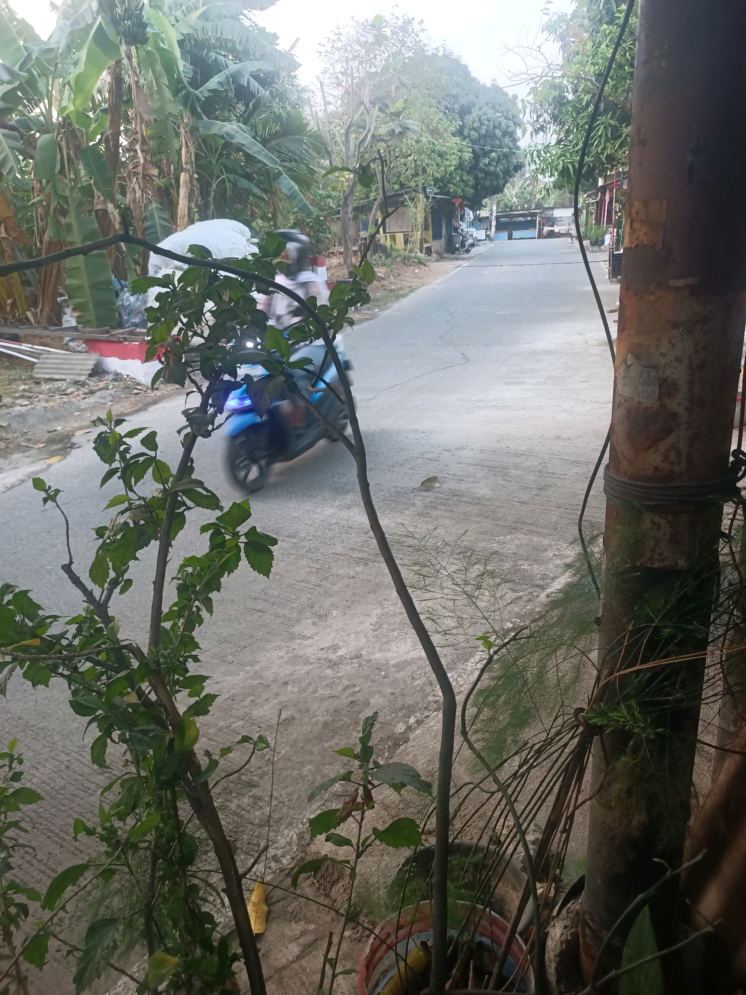 In Telagaasih, Indonesia, a motorcycle with a blue body is traveling down a paved street. The street is bordered by green foliage on the left and a rusty pole with wires on the right. Buildings and trees line the street in the background. The sky is overcast.