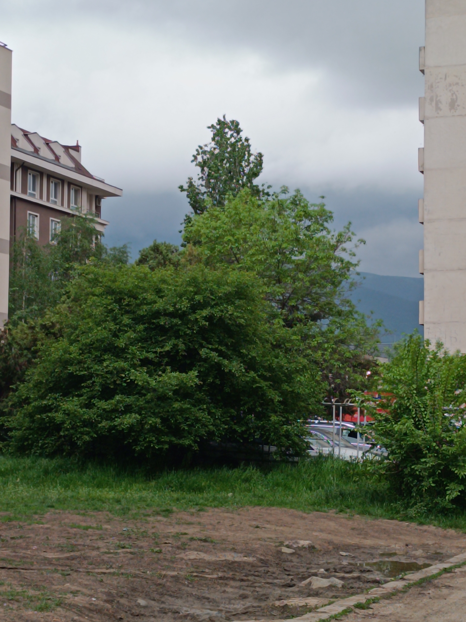 The image shows a muddy patch of ground with grass leading to a view of trees and buildings under a cloudy sky. On the left, a building with a brown facade and white-trimmed windows is visible. To the right, a concrete building stands. In the background, through the trees, a mountain range can be seen. A parking area with cars is partially visible between the trees. The scene suggests a location in Sofia, Bulgaria, given the architectural style and mountainous backdrop. The ground condition and overcast sky imply recent rainfall or a damp environment.