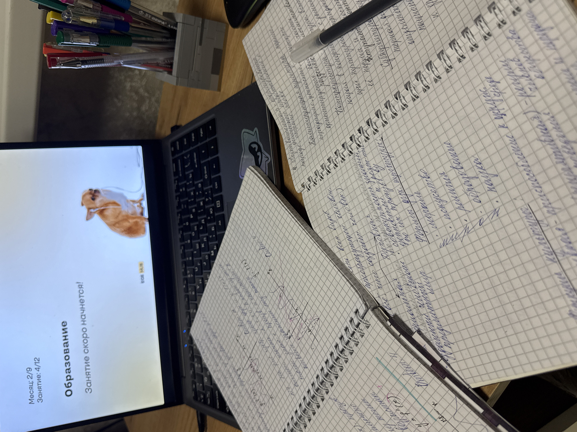 The image captures a study or work desk setup, featuring a laptop and two open spiral-bound notebooks. On the left, a dark-colored laptop displays a screen with a light background and an image of a small, light-brown animal (possibly a hamster or guinea pig). Text on the laptop screen is in Russian, indicating "Месяц: 2/9" (Month: 2/9), "Занятие: 4/12" (Lesson: 4/12), "Образование" (Education), and "Занятие скоро начнется!" (The lesson will start soon!). A small "EGE HUB" logo is also visible.
Two notebooks with grid paper are open on the desk, filled with handwritten notes in Russian. The notebook closer to the laptop contains mathematical notes, including a graph with "y = f(x)" and "x" axes. The notebook further to the right primarily contains textual notes, including words like "Культура" (Culture), "мораль" (morality), "искусство" (art), "религия" (religion), "образование" (education), "наука" (science), and phrases such as "Контркультура" (Counterculture) and "приспособление к окруж..." (adaptation to surround...). A black pen rests on this notebook.
In the upper left corner, a gray, block-like pen holder (possibly made from building blocks) is filled with numerous colored pens and pencils. One pen clearly shows the brand "BEIRA AAD". The scene suggests an individual is engaged in an online educational activity or preparing for one, taking notes. The lighting indicates an indoor setting, likely during the day or with artificial light.