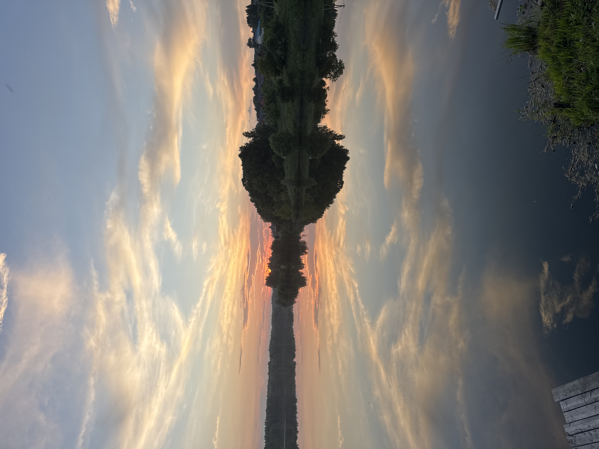 This is a vertical, eye-level, full-shot photograph of a tranquil lake at sunset, reflecting the colorful sky and surrounding landscape. The image depicts a peaceful natural scene, possibly in or near Kamysh, Russia, given the subtle hints of a rural or semi-rural environment.
The sky dominates the upper half of the frame, filled with wispy clouds painted in hues of pale orange, pink, and soft blue. These clouds are illuminated by the setting sun, which is partially visible behind a distant treeline. The treeline, a dark mass of foliage, stretches across the horizon, with hints of scattered buildings and utility poles suggesting a small settlement.
The lake's surface is remarkably still, creating a near-perfect mirror image of the sky and the distant shore. The reflections are clear, showing the vibrant colors of the sunset and the silhouetted trees. In the foreground, a wooden pier juts out from the lower left corner of the frame, with its weathered planks visible. To the right of the pier, the edge of the lake is lined with lush green grass and some aquatic vegetation, adding a touch of natural detail to the scene. The overall impression is one of serenity and natural beauty at the close of day. There are no people or animals visible in the image.