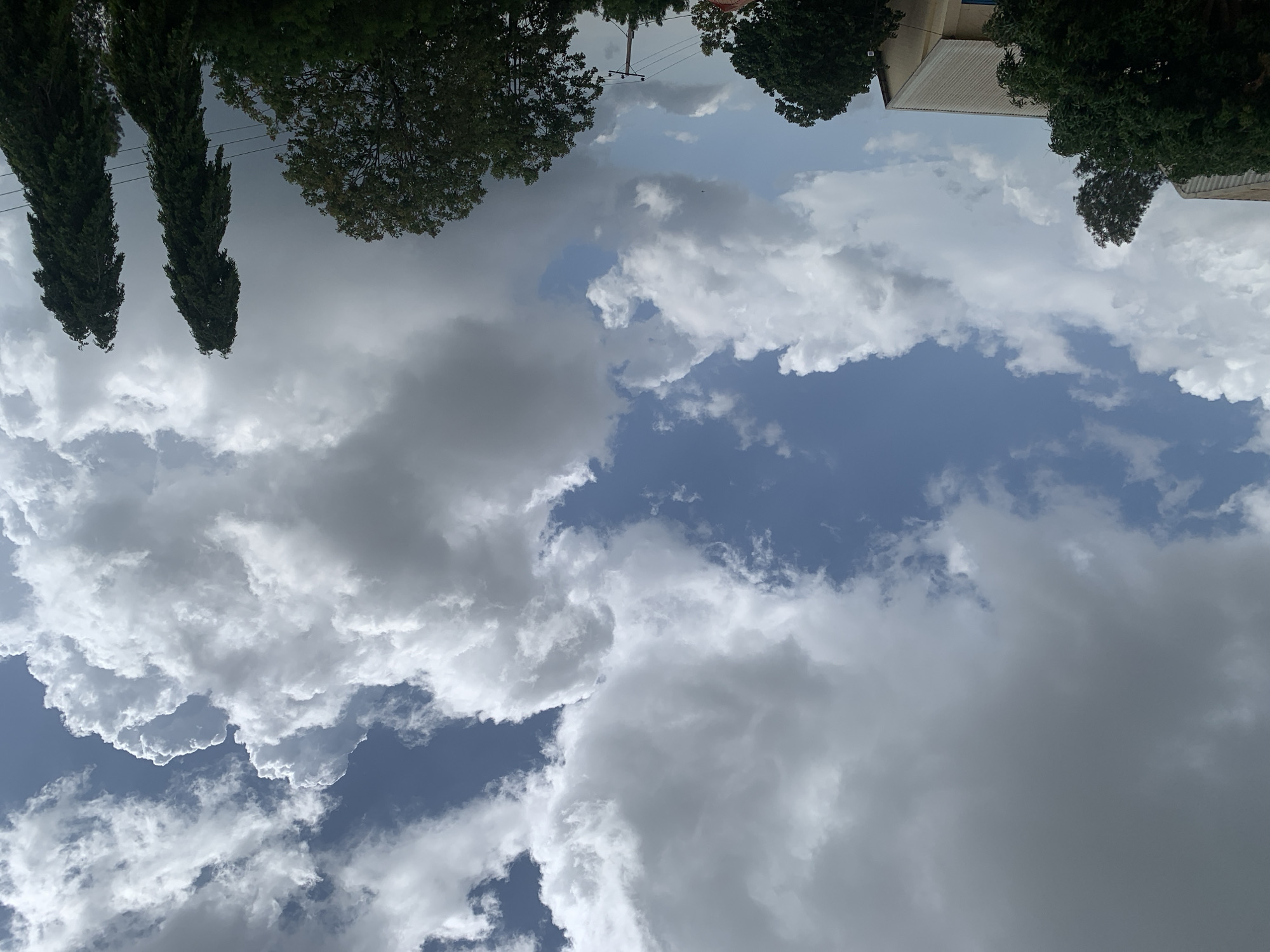 The image depicts a sky filled with dramatic, cumulonimbus clouds in Kuru Karama, Nigeria. The clouds are a mix of bright white and dark gray, suggesting an impending storm. Below the sky, several tall, slender trees with dense foliage are visible. To the left, the roofline of a building with a corrugated metal roof is partially visible, with some green trees in the foreground. The scene is a snapshot of a weather event occurring in a semi-urban or rural setting.