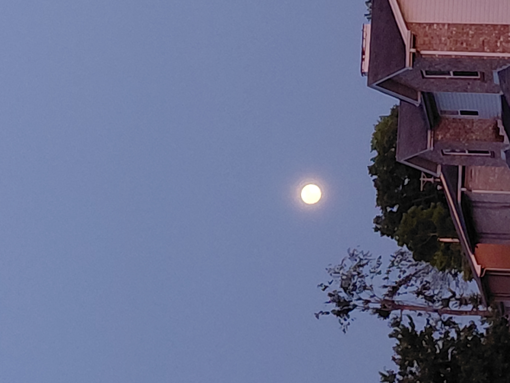A full moon is visible in a clear, light blue sky over a residential area in Nicholasville, United States of America. The moon is slightly off-center to the left. In the foreground, the tops of several houses with peaked roofs are visible, constructed with brick and siding. Trees, some with dark foliage and others appearing sparser, are situated between the houses and behind them, with one tall, thin tree directly in front of the moon. The overall scene depicts a twilight or early evening setting.