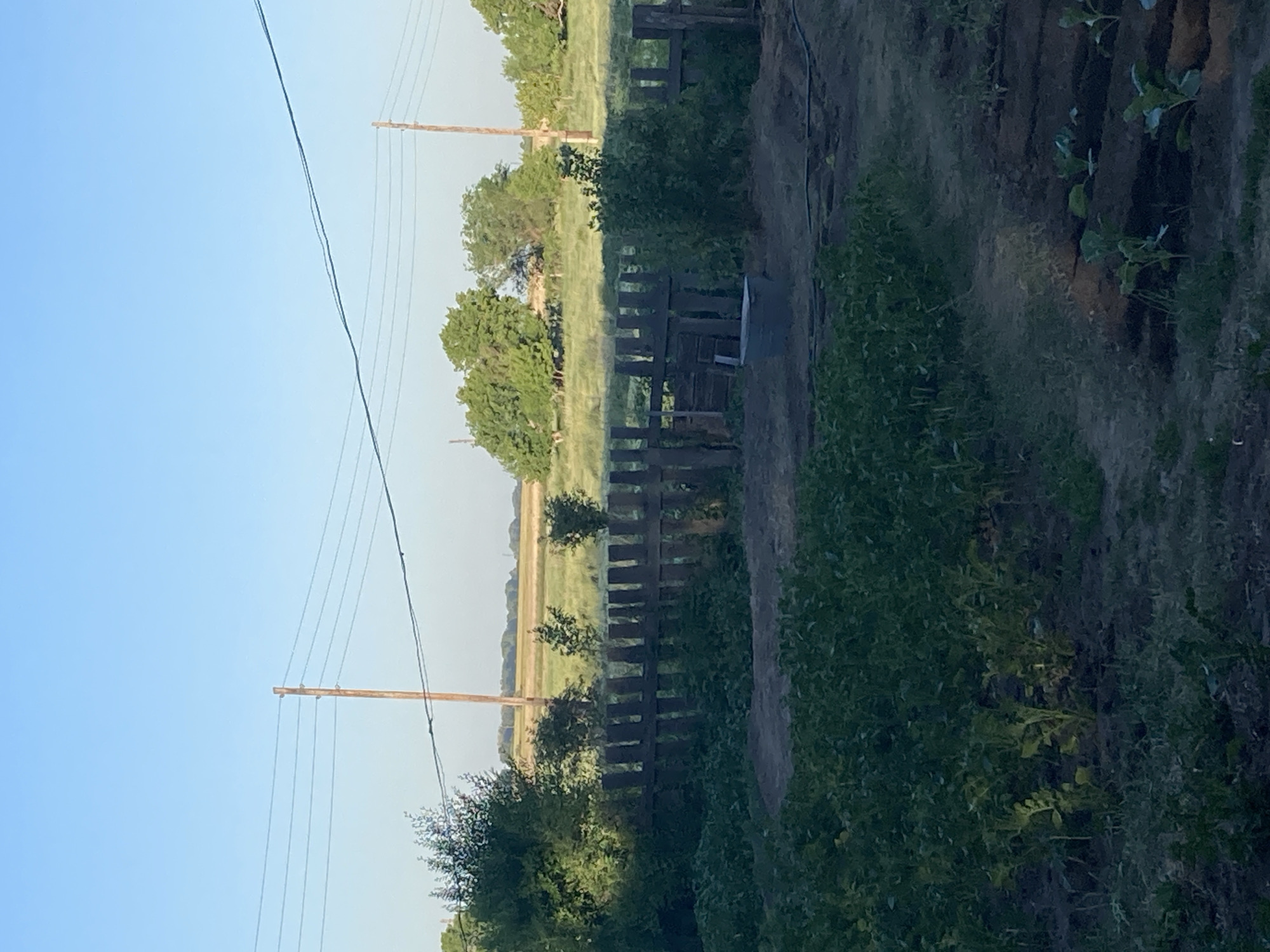 This media file depicts an outdoor scene with a clear sky, suggesting it is daytime. The image is oriented vertically, with the horizon line running from left to right across the frame. In the foreground, to the right, there is a dense area of green foliage, appearing as a thick hedge or undergrowth. Beyond this, a rustic wooden fence is visible, constructed with horizontal planks.
Further into the background, a field stretches out, bathed in soft, diffused light. Tall trees, with lush green canopies, are interspersed throughout the landscape. Two wooden utility poles stand on the left side of the image, supporting multiple overhead power lines that extend across the sky. The overall setting appears to be rural, possibly a farm or countryside area, given the presence of fields, trees, and utility infrastructure.
There are no people or animals visible in the image, nor any explicit text. The light suggests either early morning or late afternoon, with the sun casting a gentle glow over the scene. The weather appears to be clear and calm. The location context provided places this scene in Rakity, Russia.