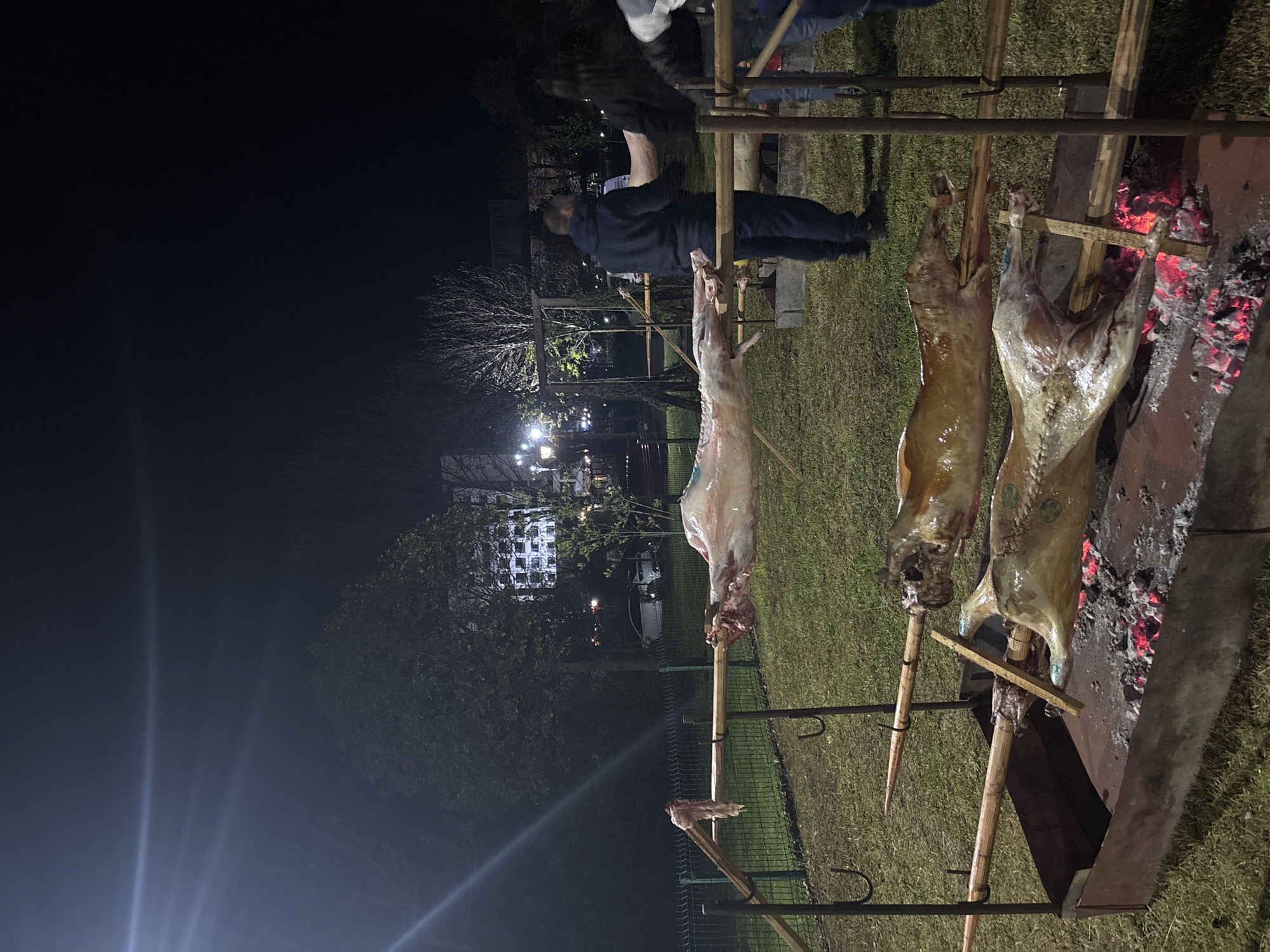 A night scene displays three carcasses roasting over a charcoal pit outdoors. The carcasses are suspended from wooden poles, positioned near a metal container holding hot coals. A man in a dark jacket stands nearby, and glimpses of other people are visible in the background. In the distance, there are lit buildings and trees, suggestive of an urban setting. It is unclear from the image that it is in Zlatograd, Bulgaria.