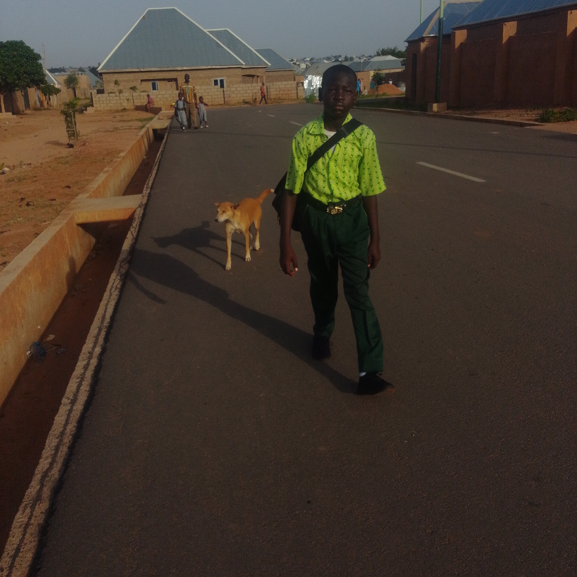 In an outdoor urban setting, a young Black boy, dressed in a bright green patterned shirt and dark green pants, walks on an asphalt road. He is carrying a dark bag over his right shoulder and appears to be looking ahead. A light brown dog walks alongside him to his left, casting a shadow. In the background, there are buildings with grey pitched roofs and beige brick walls, and some dirt areas with sparse vegetation. The scene is illuminated by natural daylight, with long shadows indicating it might be late afternoon. The road has a white line marking.