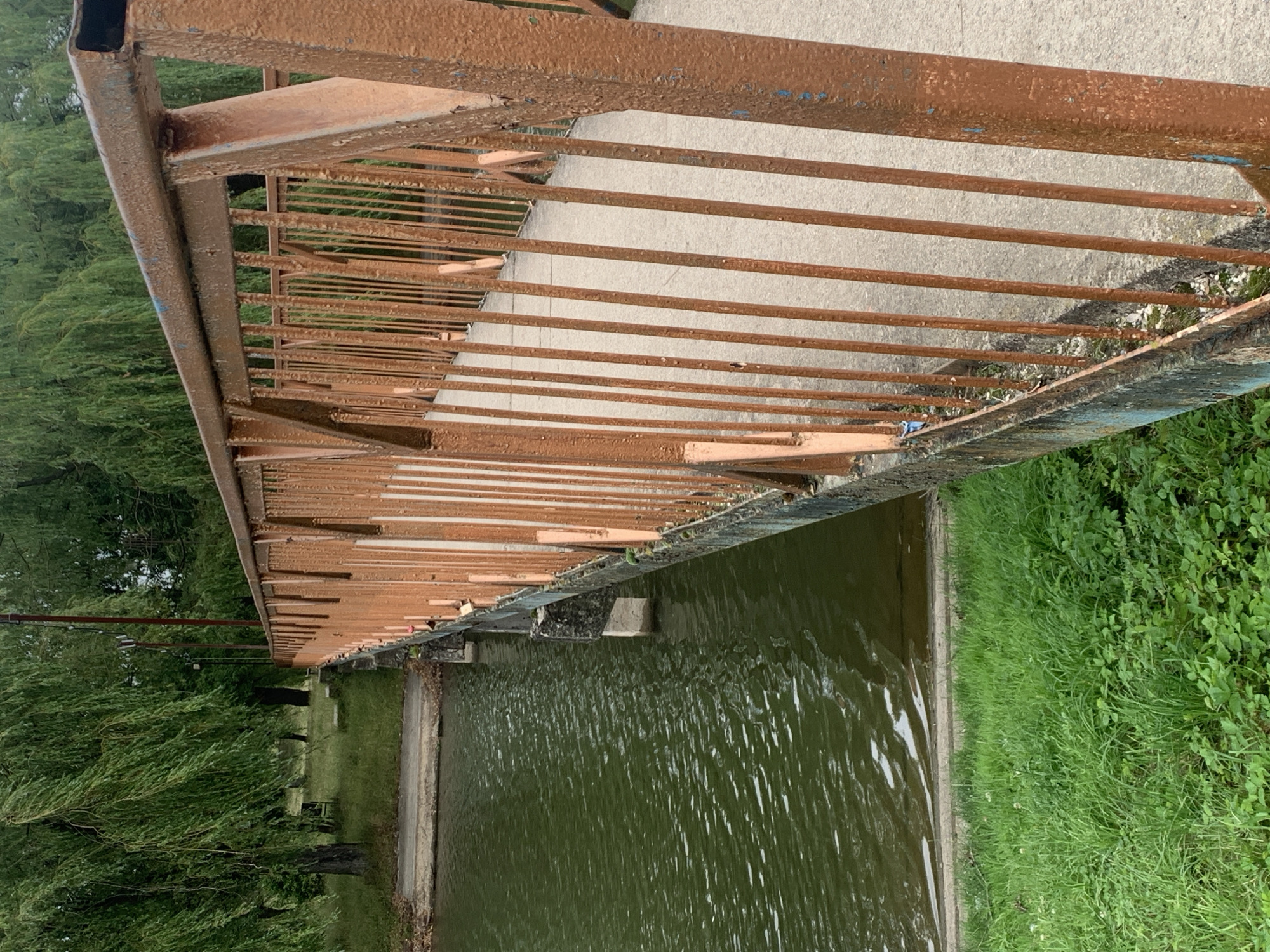 An outdoor, eye-level, medium shot shows a rusted orange footbridge spanning a calm, dark green body of water. The bridge is made of metal with vertical bars and a solid top rail. The bridge's concrete walkway is visible and slopes slightly upwards from the foreground to the background. To the left of the bridge, the water's surface is disturbed by ripples, suggesting movement. Along the edge of the water, a concrete embankment leads to the bridge's support pillars. In the foreground, lush green grass and small plants cover the ground to the left of the bridge. Behind the bridge, tall, leafy trees with drooping branches, likely willow trees, create a dense green canopy. The ground behind the trees is also covered in grass. The sky is overcast, contributing to the muted lighting of the scene. The overall impression is one of a tranquil, natural setting with an aged man-made structure.