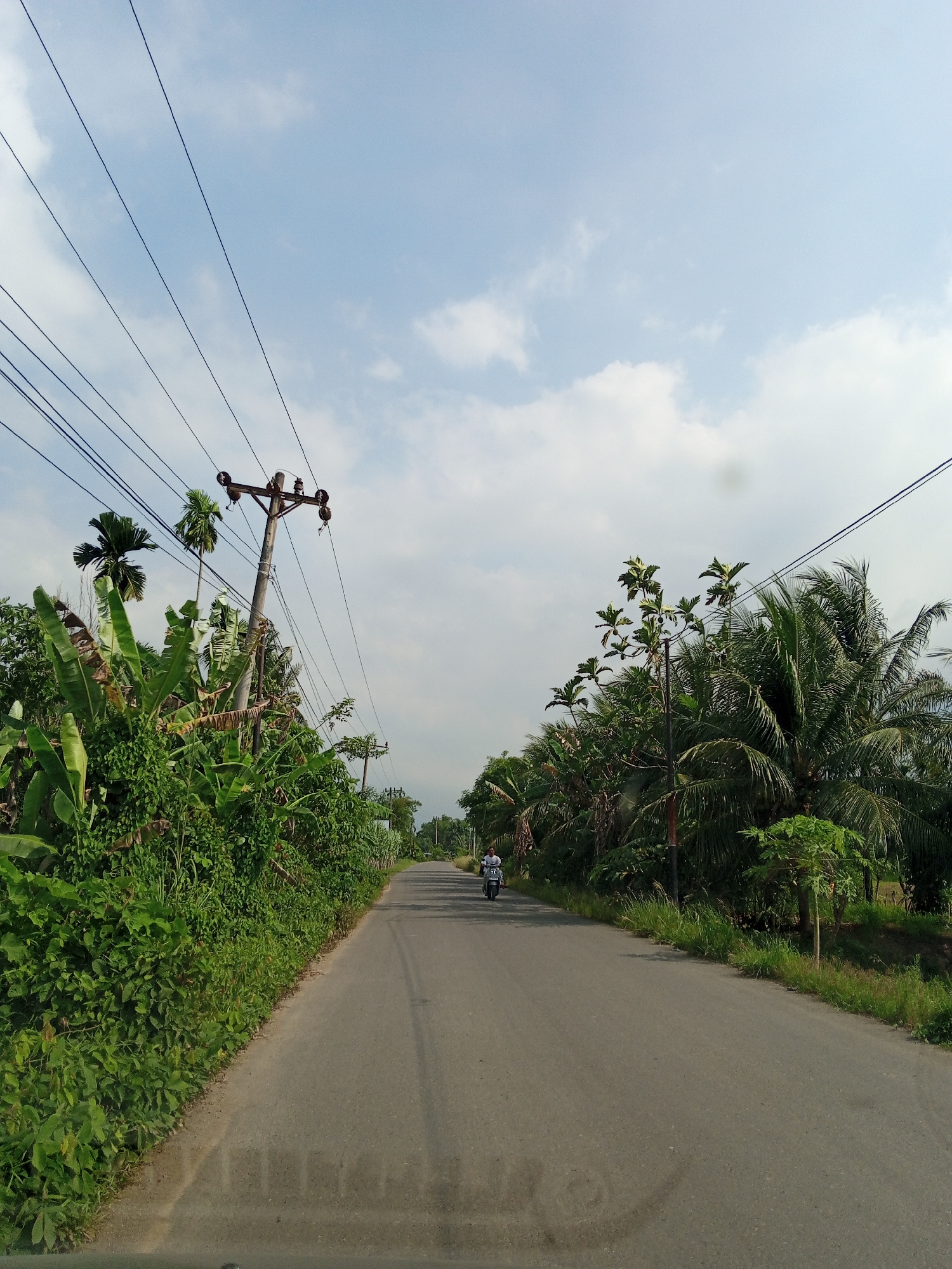 The image depicts a straight, asphalt road stretching into the distance, flanked by lush, tropical vegetation. On the left side, the road is bordered by a dense thicket of greenery, including banana plants and other leafy foliage. A weathered wooden utility pole stands amongst the vegetation, supporting a series of power lines that crisscross the sky above the road. The right side of the road is similarly lined with tropical trees, including coconut palms and other plants. A person on a scooter is driving along the road away from the viewer. The sky above is pale blue with scattered white clouds. The photograph was taken in Lhokseumawe, Indonesia.